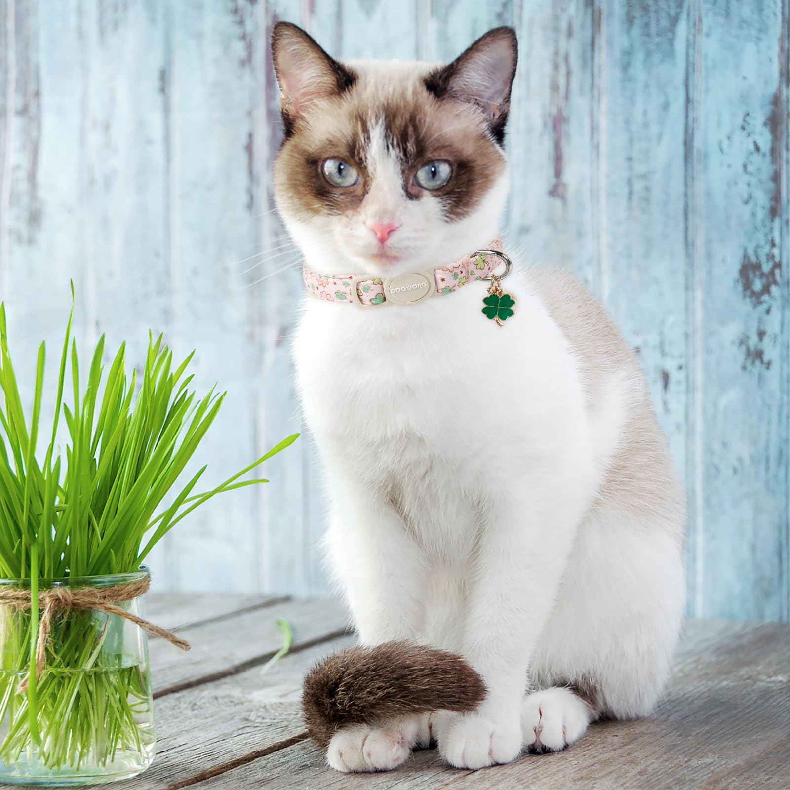 Dogwong Cat Collar 2 Pack Breakaway With Bell - Safety Buckle St. Patrick'S Day Green Trefoil For Girl Boy Cats, Adjustable 7-12