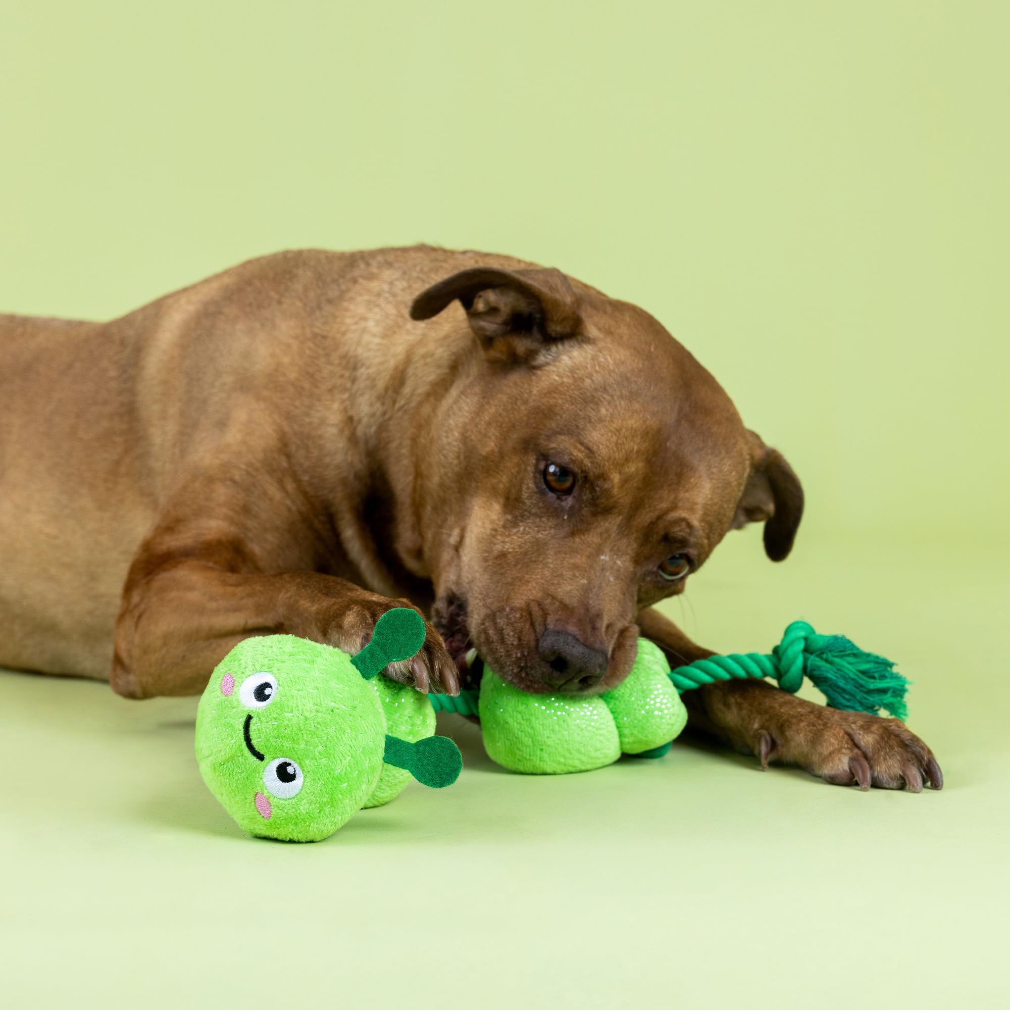 Fringe Studio ''Pillar of Society Plush Dog Toy, Pet Shop Collection (314370)