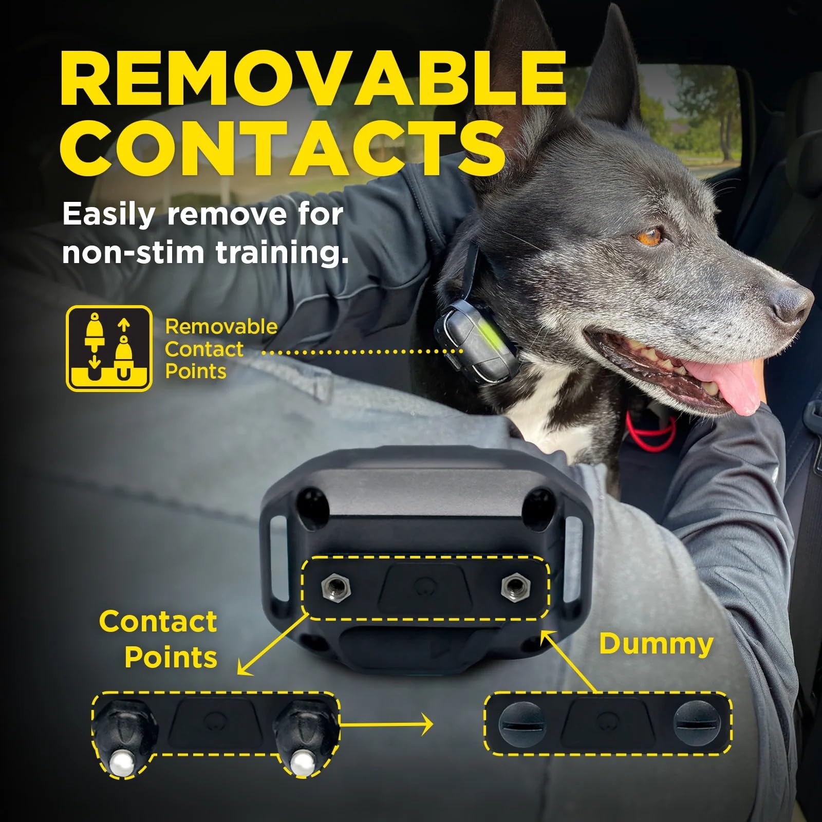 Dogtra 280X E-Collar Additional Receiver 10 lbs+, 1/2 Mile Range, LED Light, 100 Levels of Precise Control for Stubborn Dogs, Wa