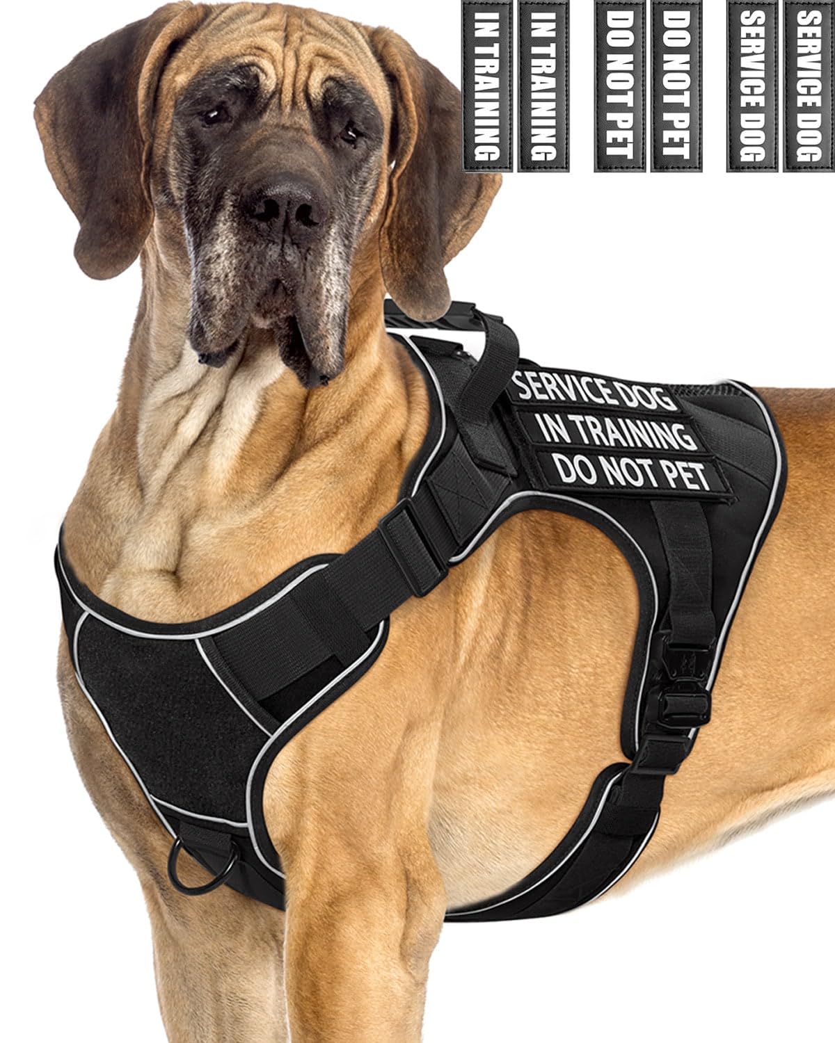 Reflective Service Dog In Training Vest Harness For Extra Large Dogs, Adjustable Heavy Duty Padded Black Dog Harness, With Front
