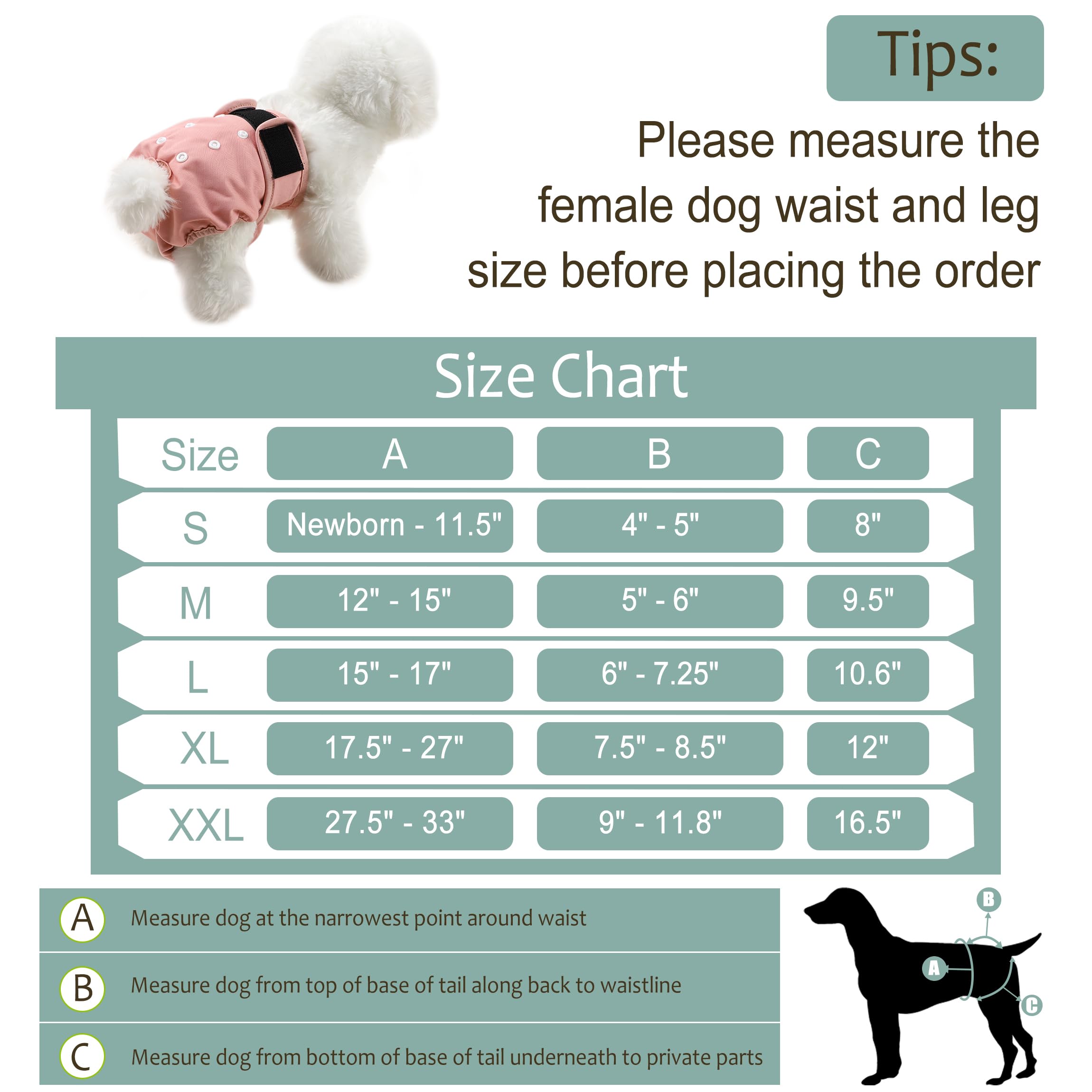 Grecle Washable Female Dog Diapers - Premium Reusable Diapers for Doggie in Heat - Highly Absorbent Dog Diapers Female for Pet I
