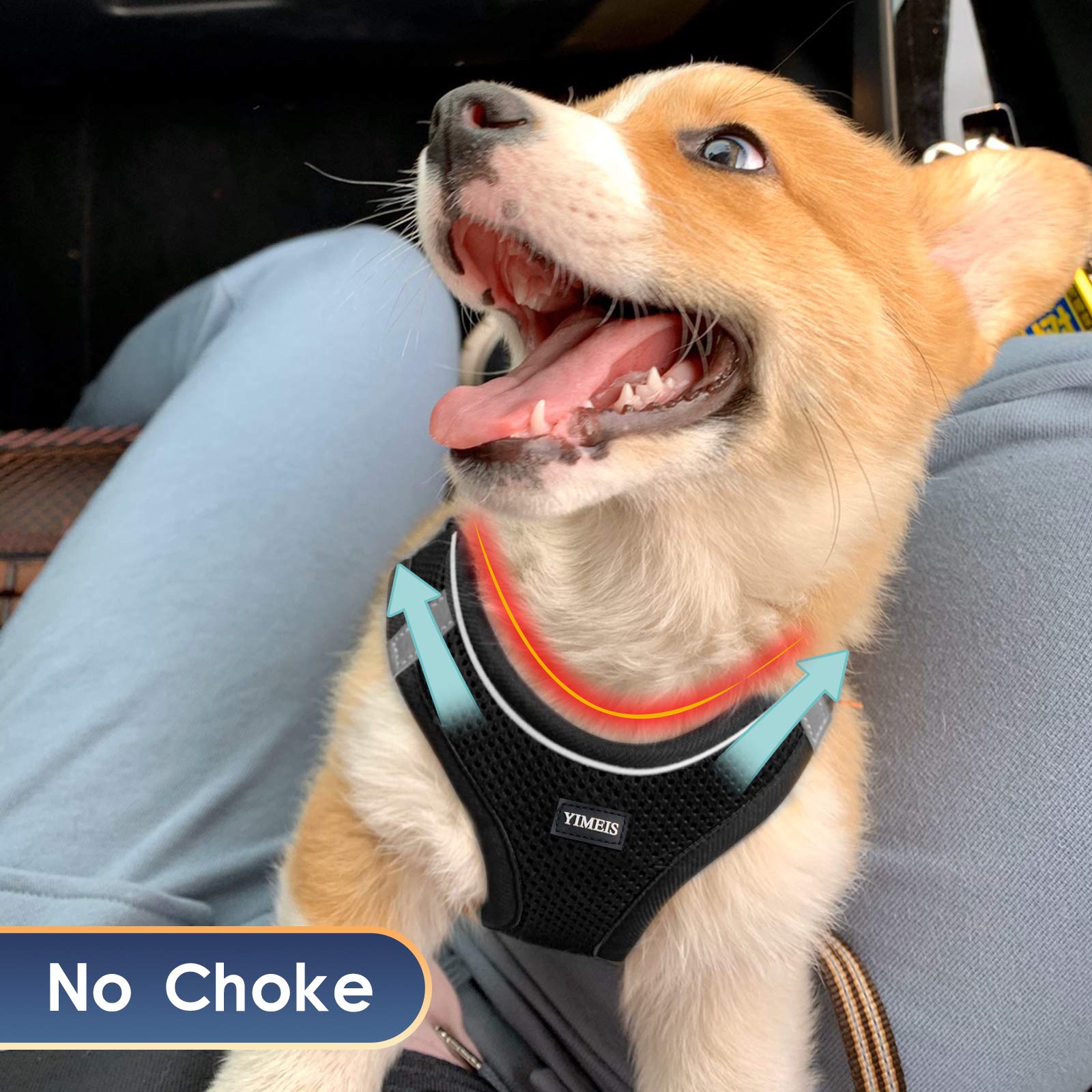 Yimeis Dog Harness And Leash Set, No Pull Soft Mesh Pet Harness, Reflective Adjustable Puppy Vest For Small Dogs, Cats (Xs, Black)