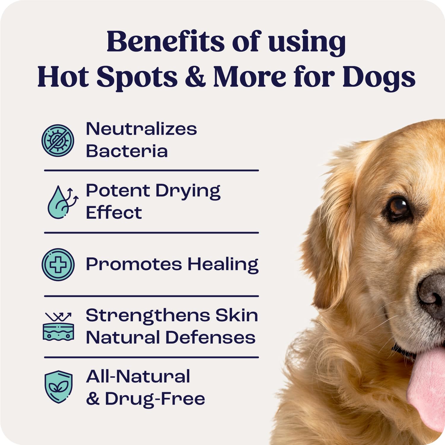 Summit Hot Spots & More Spray for Dogs (Formerly SummitSkin), All-Natural Dog Wound Care, Healing Aid, Skin Repair, Hot Spot Rel