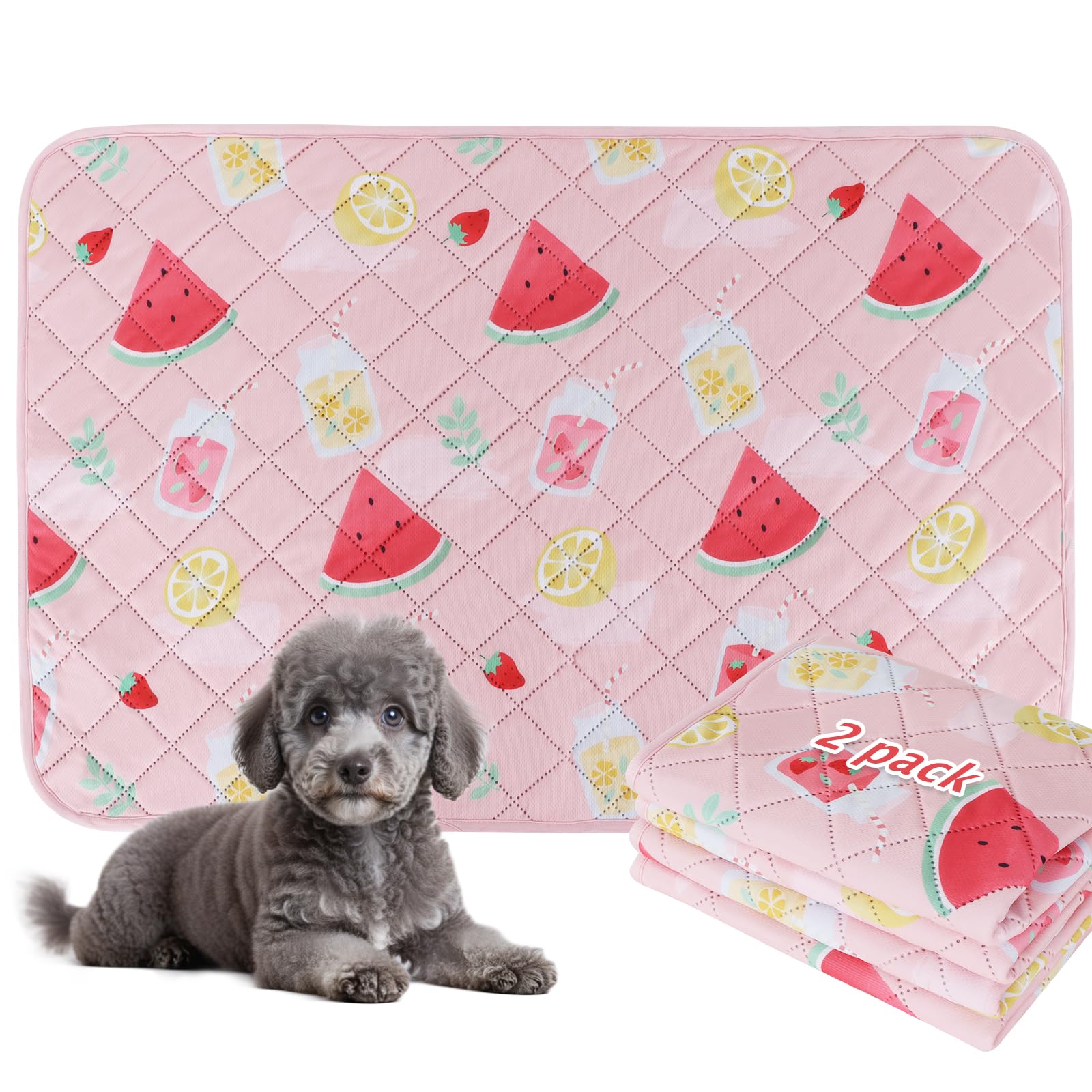 Bvagss Washable Pee Pads For Dogs, 2 Pack Reusable Leakproof Puppy Wee Wee Pad, Non-Slip Waterproof Pet Training, Super Absorben