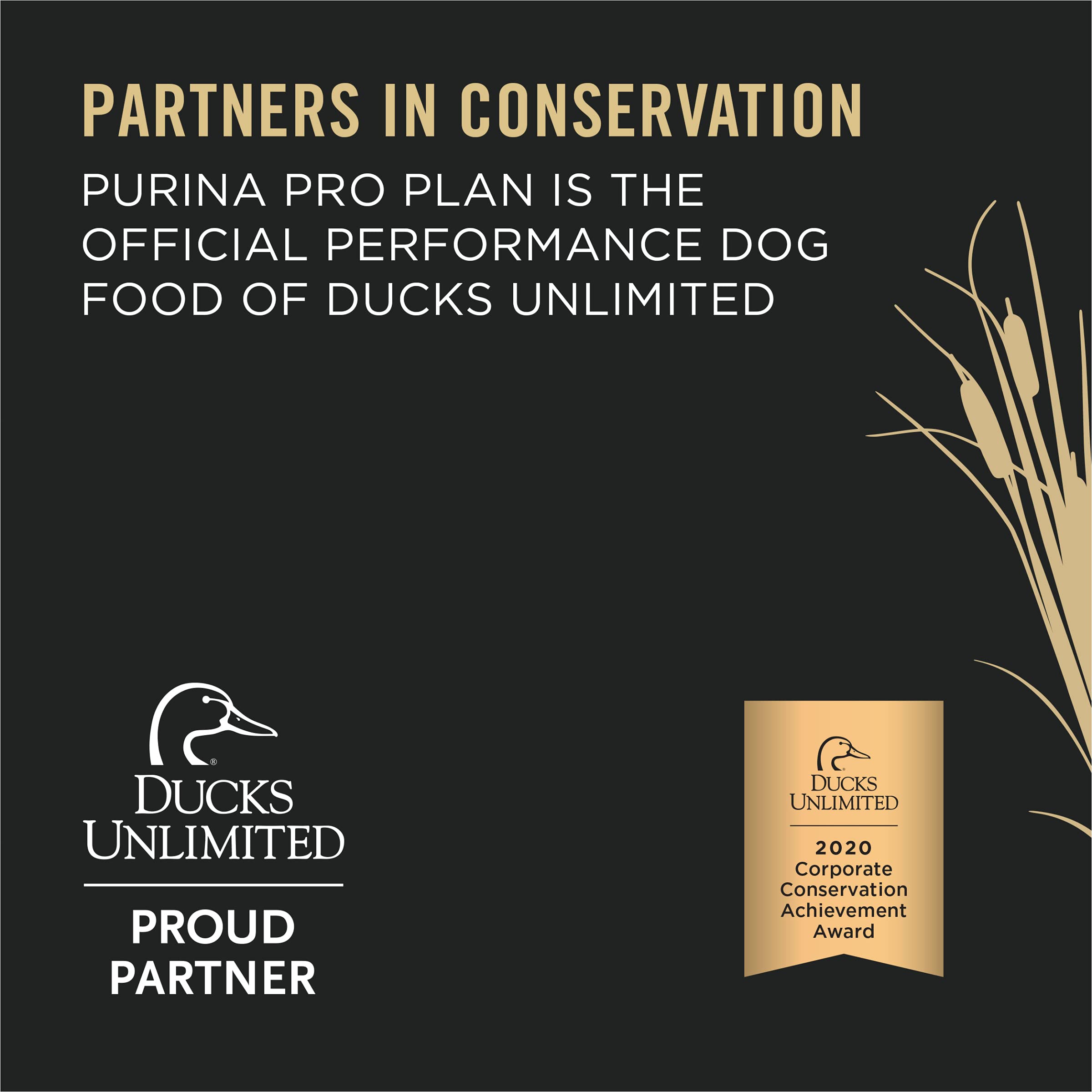 Purina Pro Plan Sport High Protein Wet Dog Food With Salmon and Cod - (Pack of 12) 13 oz. Cans