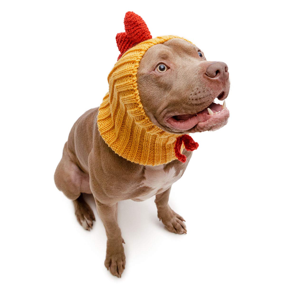 Zoo Snoods Rooster Chicken Costume for Cats & Dogs, Small - Warm No Flap Ear Wrap Hood for Pets, Dog Outfit for Winters, Hallowe
