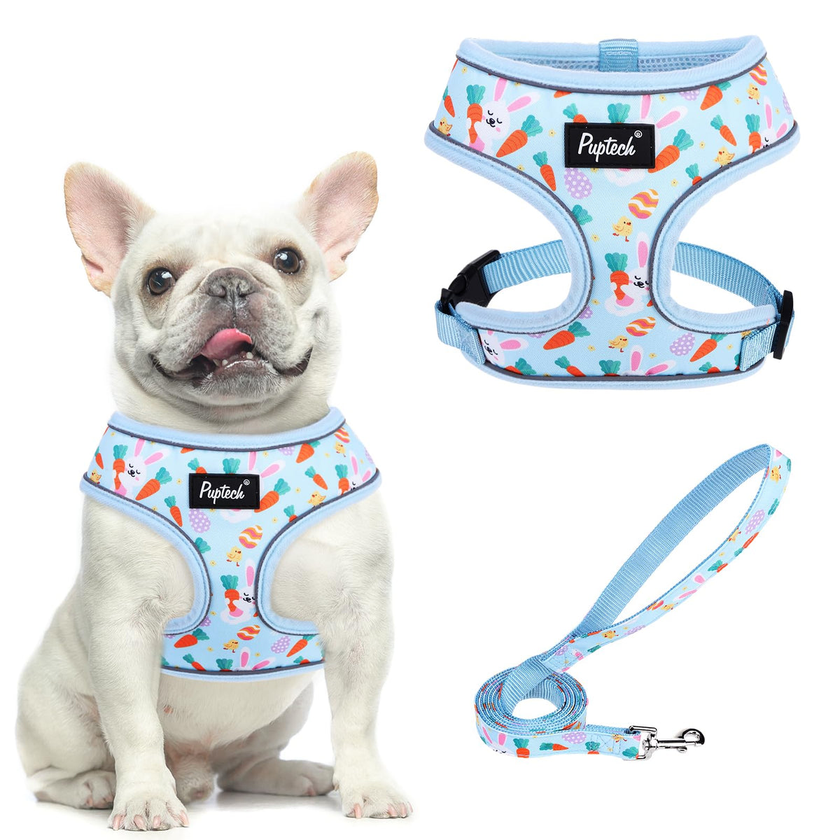 Pupteck Soft Mesh Dog Harness And Leash Set Pet Puppy Cat Comfort Padded Vest No Pull Harnesses, Easter Blue, M