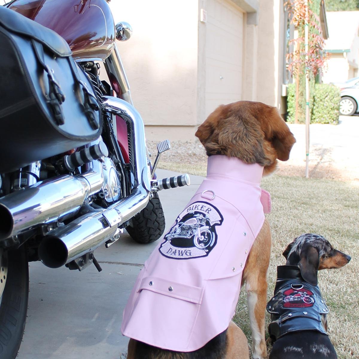 Doggie Design Biker Dawg Motorcycle Dog Jacket (X-Small, Pink)