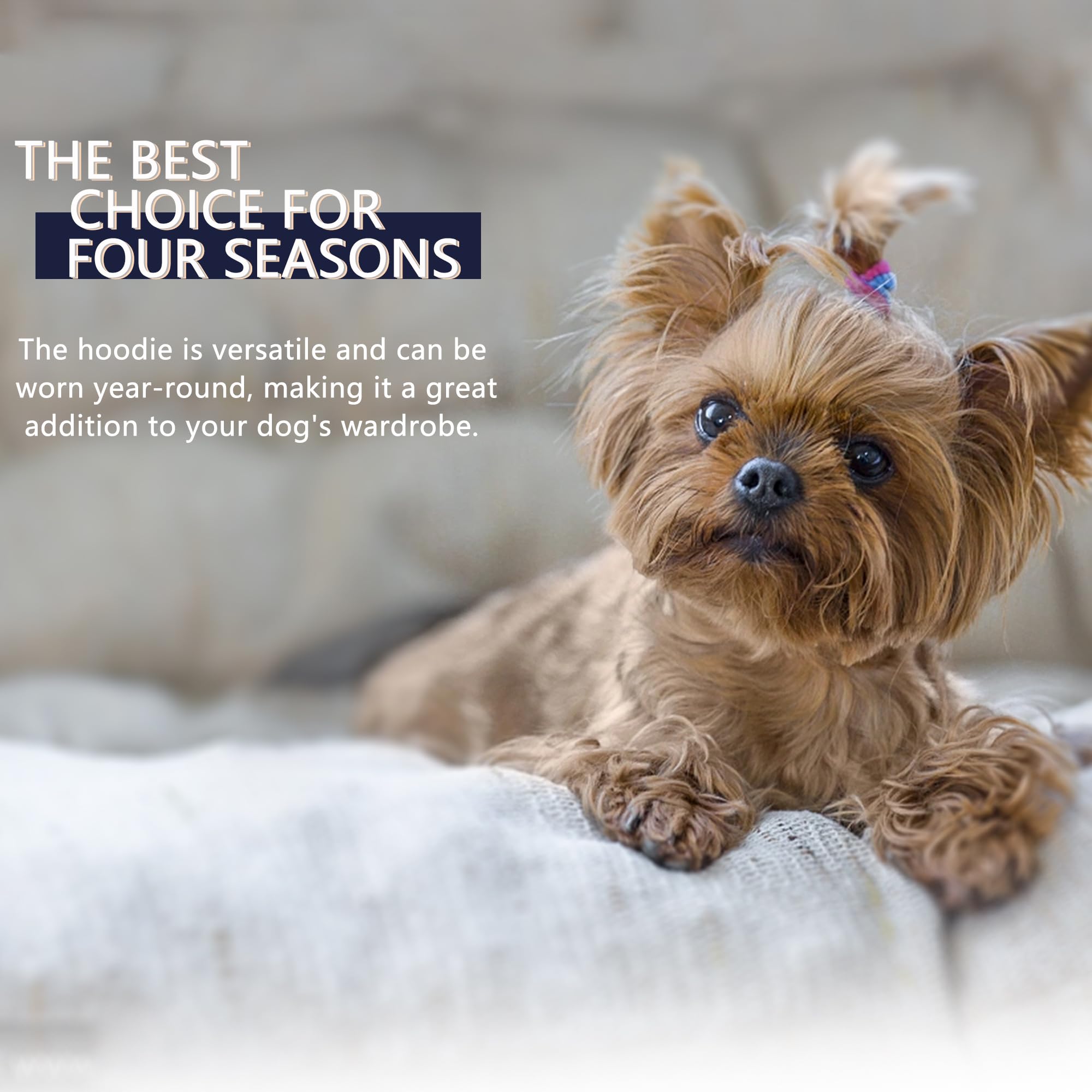 Paiaite Black Chihuahua Dog Hoodie: Keep Your Pup Warm, Stylish With A 'The Dog Face' Printed Sweatshirt Pet Clothes And Sweater