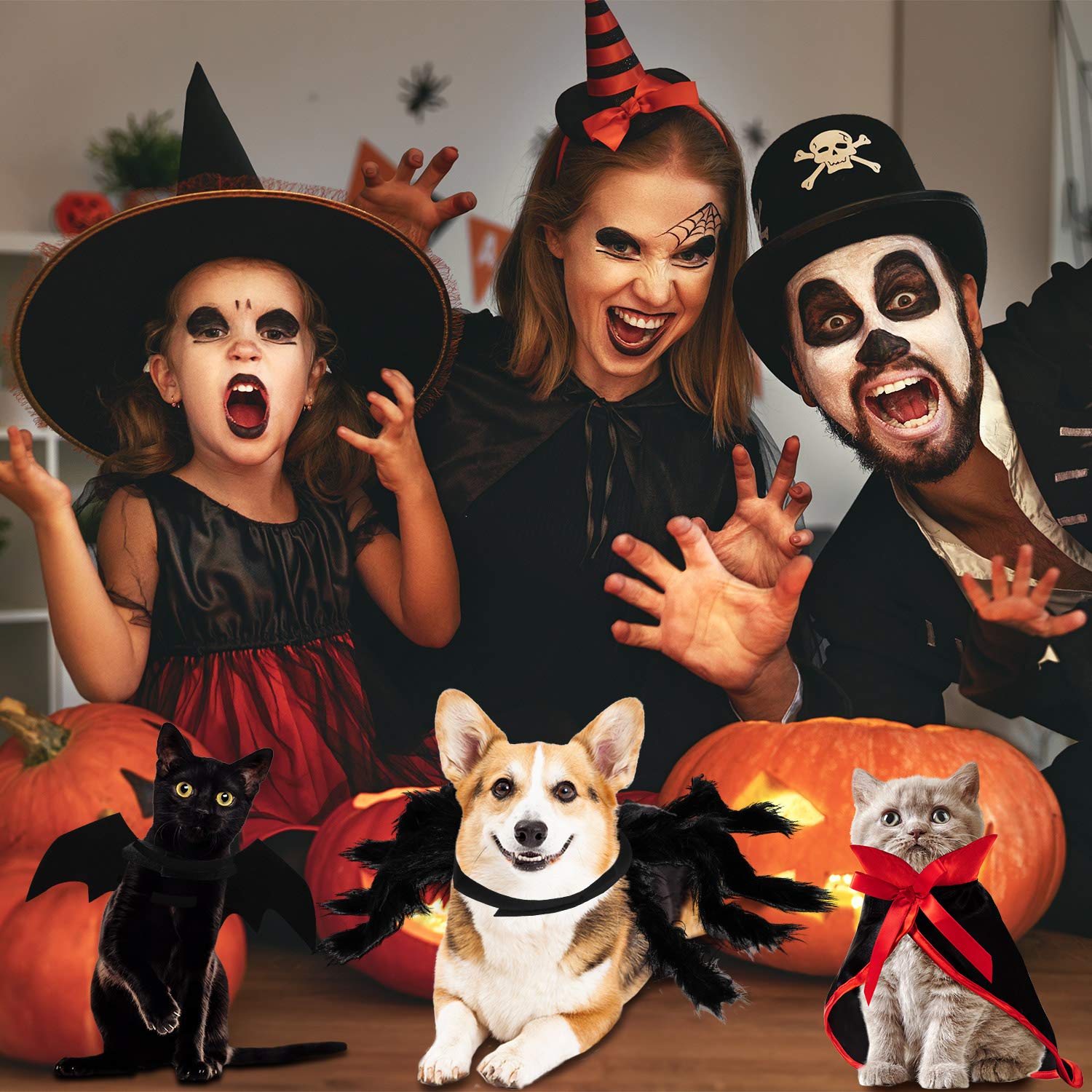 3 Piece Halloween Cat Dog Costume Set, Pet Bat Witch Vampire Pumpkin Cloak Giant Imitation Pet Spider Pets Costume Cosplay Accessories Halloween Pets Decoration For Dogs Puppy Cats (Gothic,M)