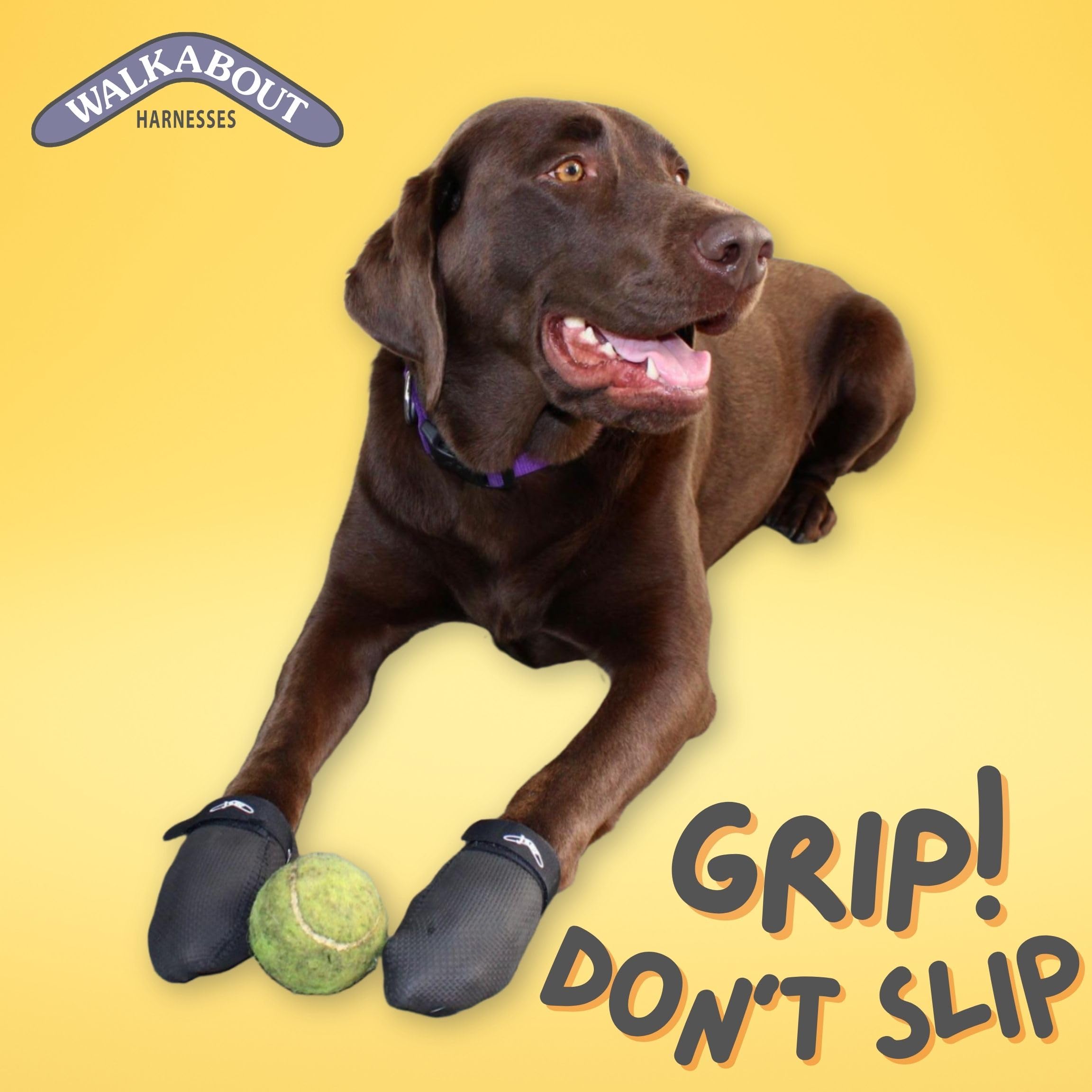 WALKABOUT JAWZ Traction Booties - Anti-Slip Dog & Cat Paw Protectors for Slippery Hardwood Floors, Lick Sores, Senior Pet Grip B