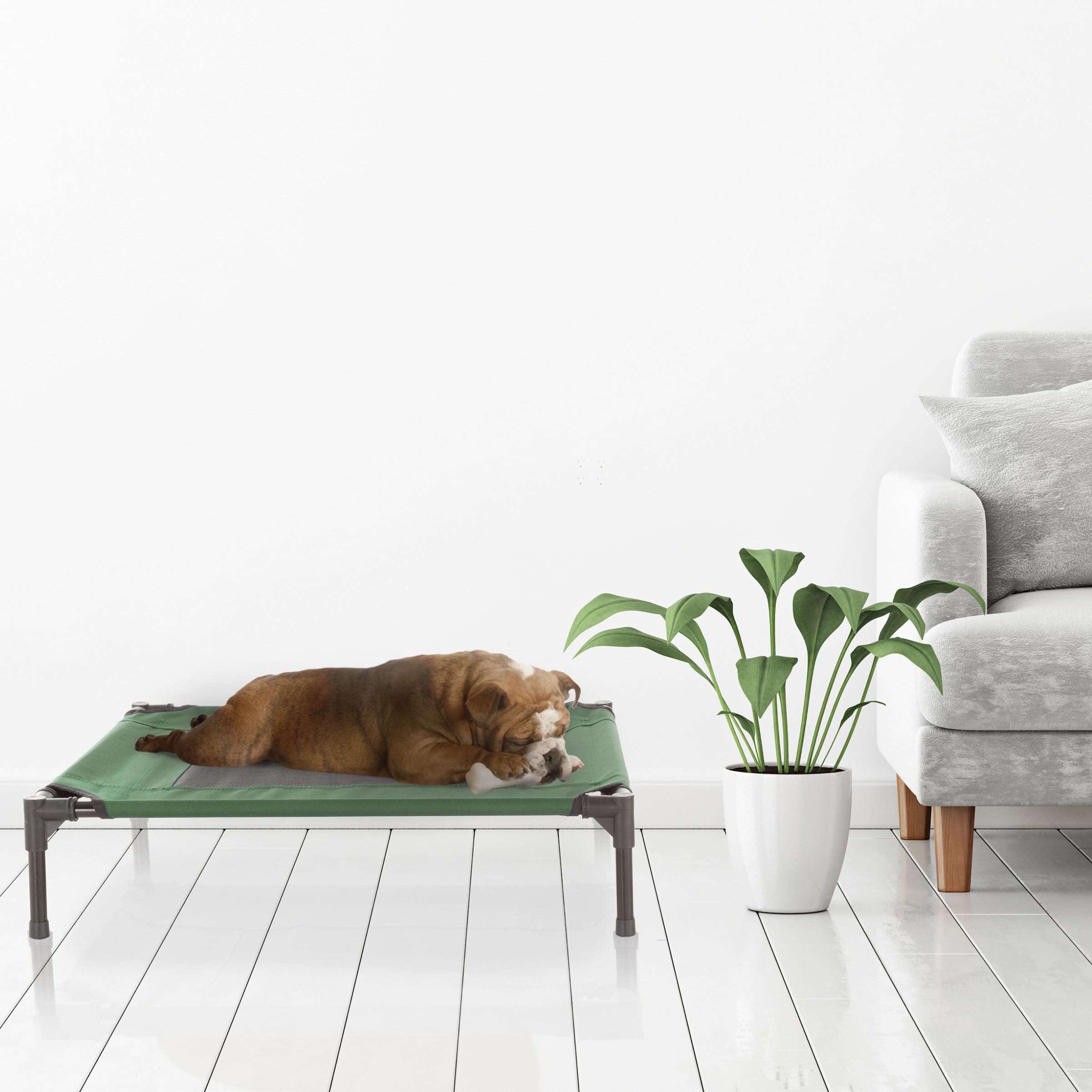 Elevated Dog Bed ? 30X24 Portable Bed For Pets With Non-Slip Feet ? Indoor/Outdoor Dog Cot Or Puppy Bed For Pets Up To 50Lbs By