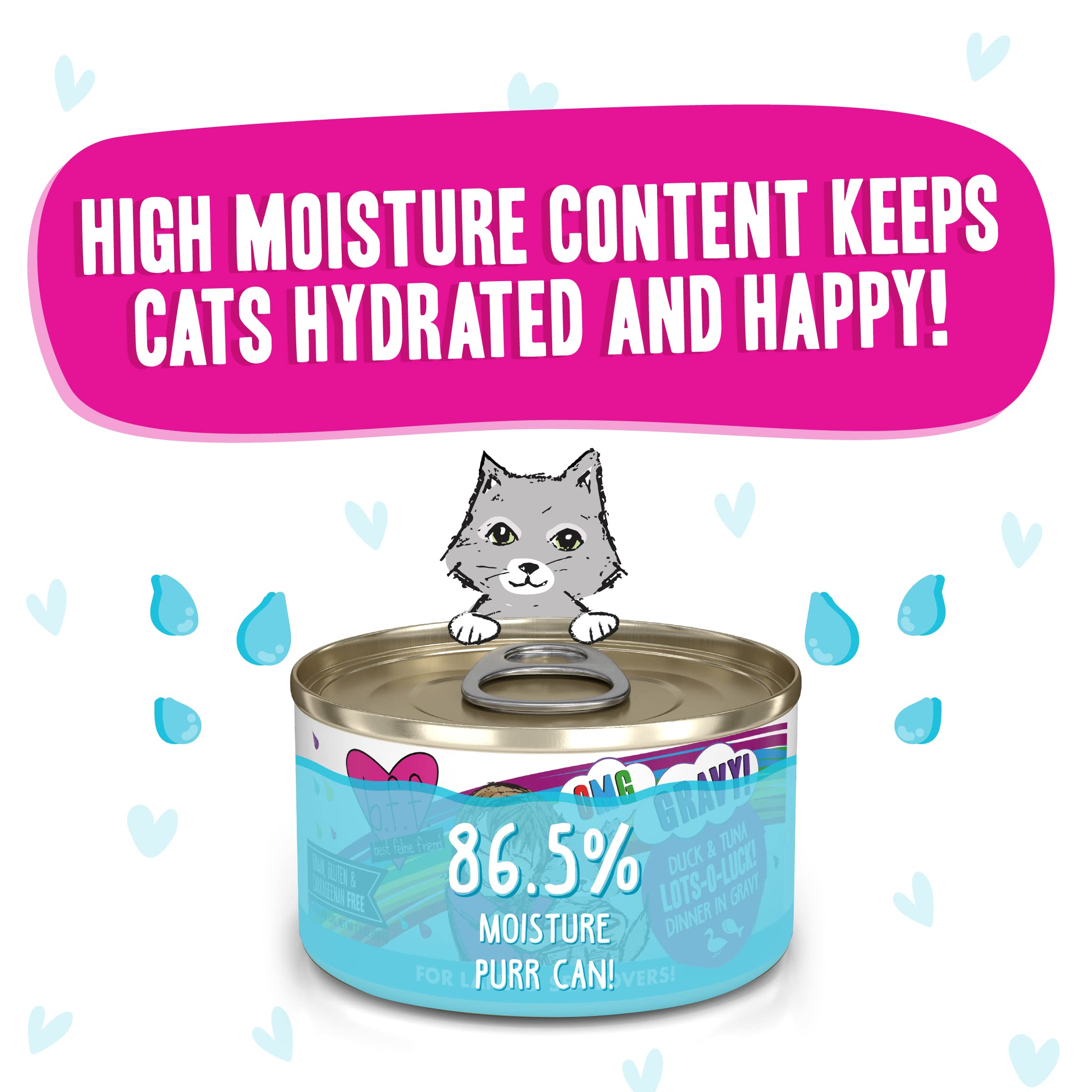 Weruva B.F.F. OMG - Best Feline Friend Oh My Gravy!, Lots-O-Luck! with Duck & Tuna in Gravy Cat Food, 2.8oz Can (Pack of 12)