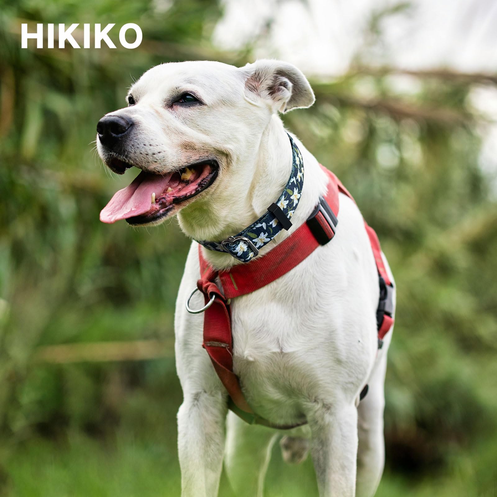 Hikiko Martingale Collar With No Buckle Cute Girl Female Floral Dog Collars For Small Dogs,Lily,S