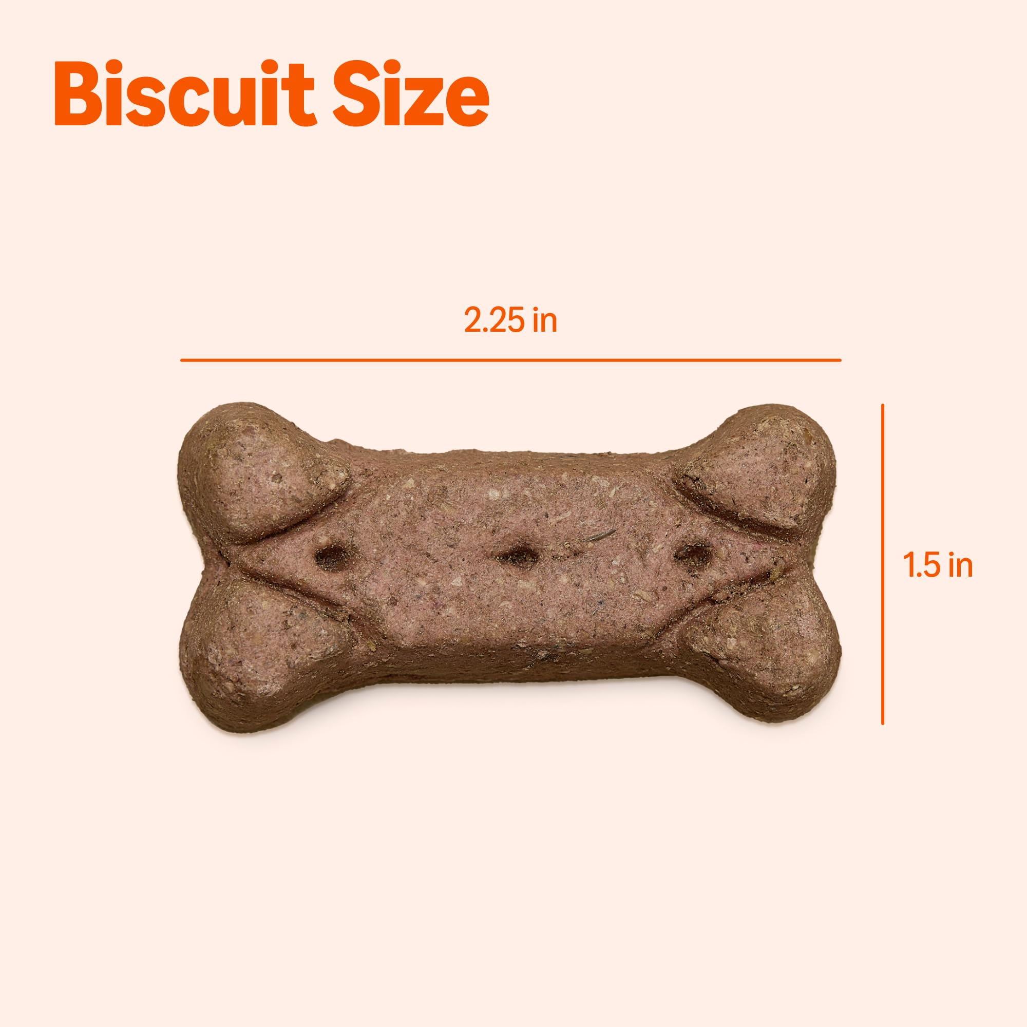 Amazon Basics Crunchy Dog Biscuits, Gravy Basted Flavor, 5 lb Box