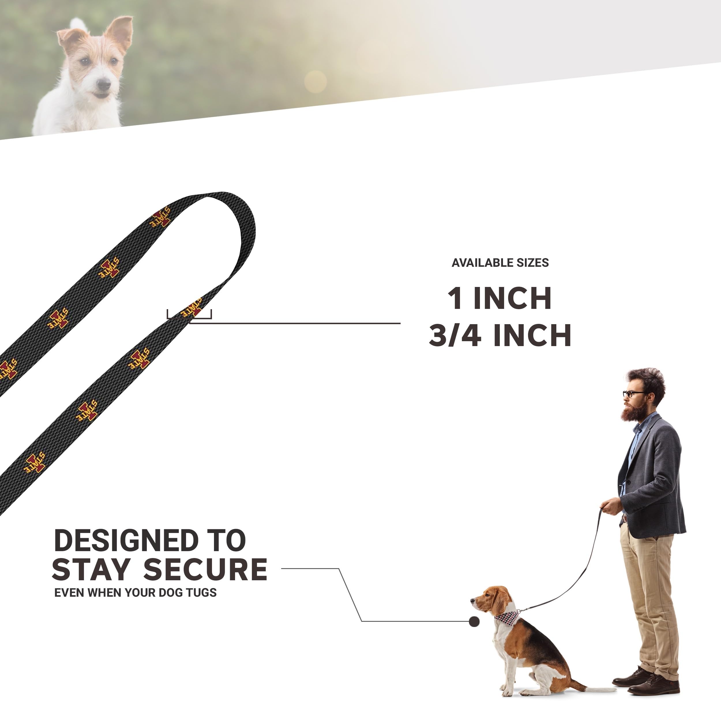 Moose Pet Wear Leash 1'' X 6', Iowa State - Logo On Carbon Fiber