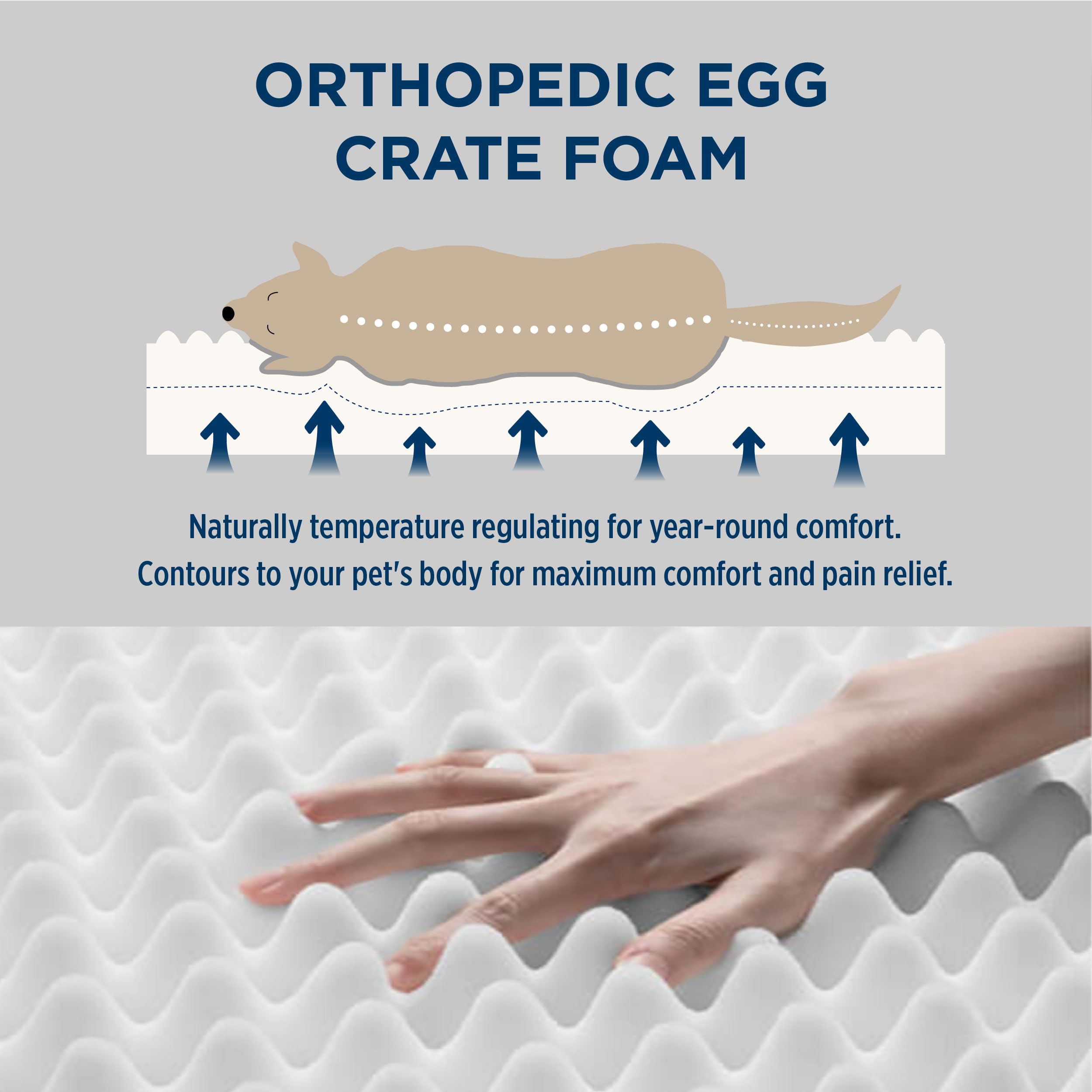 Bedsure Dog Bed for Small Dogs - Orthopedic Waterproof Puppy Beds with Removable Washable Cover, Egg Crate Foam Pet Mat, Suitabl