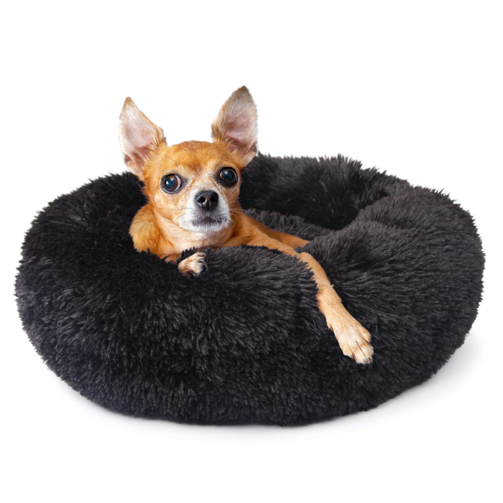 Nononfish Puppy Beds For Small Dogs Washable19Black Calming And Anxietypet Bedsfluffy And Plush Durable Small Dog Bed
