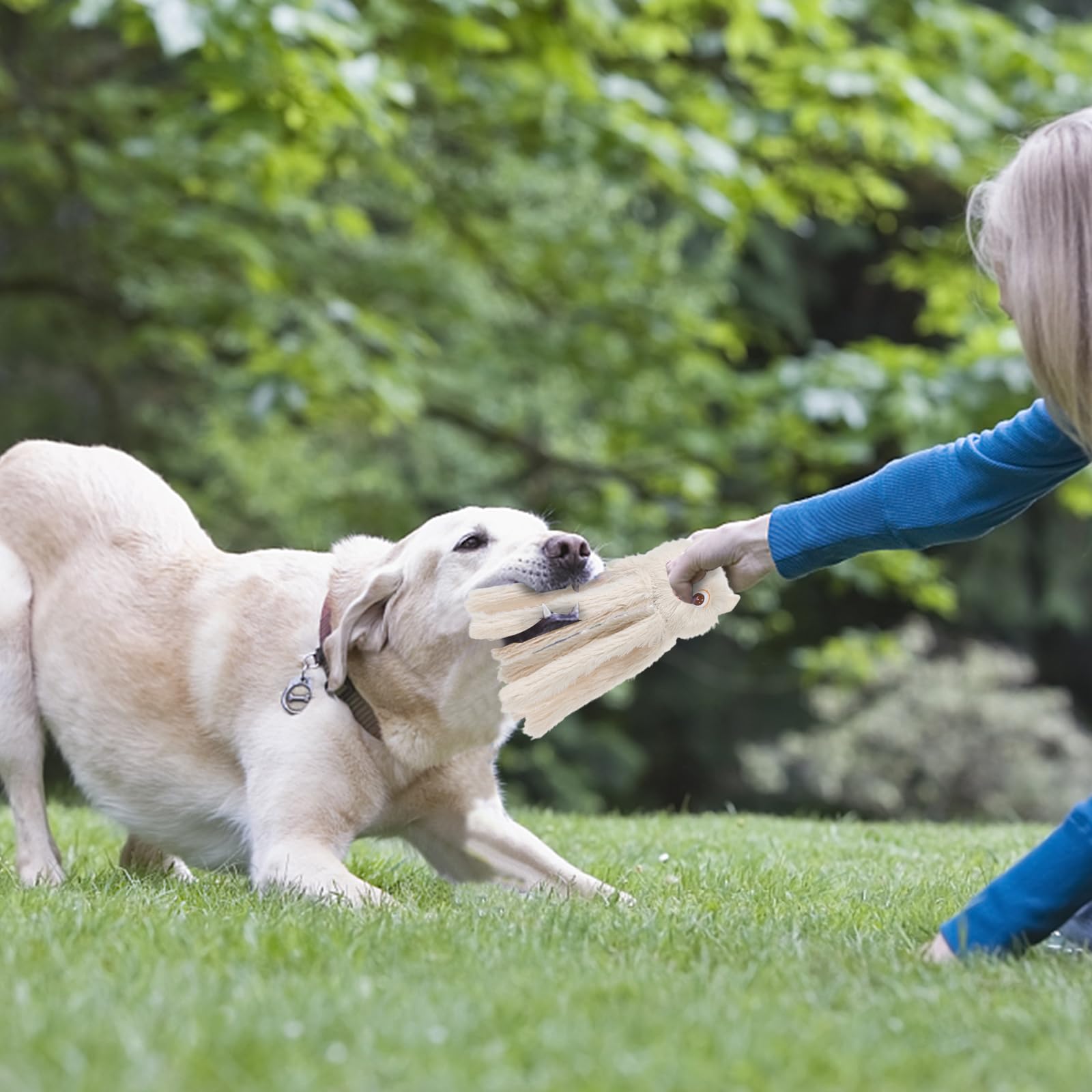 Dododola Dog Toys Squeaky Dog Toys With Crinkle Paper Cute Stuffed Octopus Durable Dog Plush Toys For Large Breed Dog Chew Toys For Small, Medium, Large Dogs