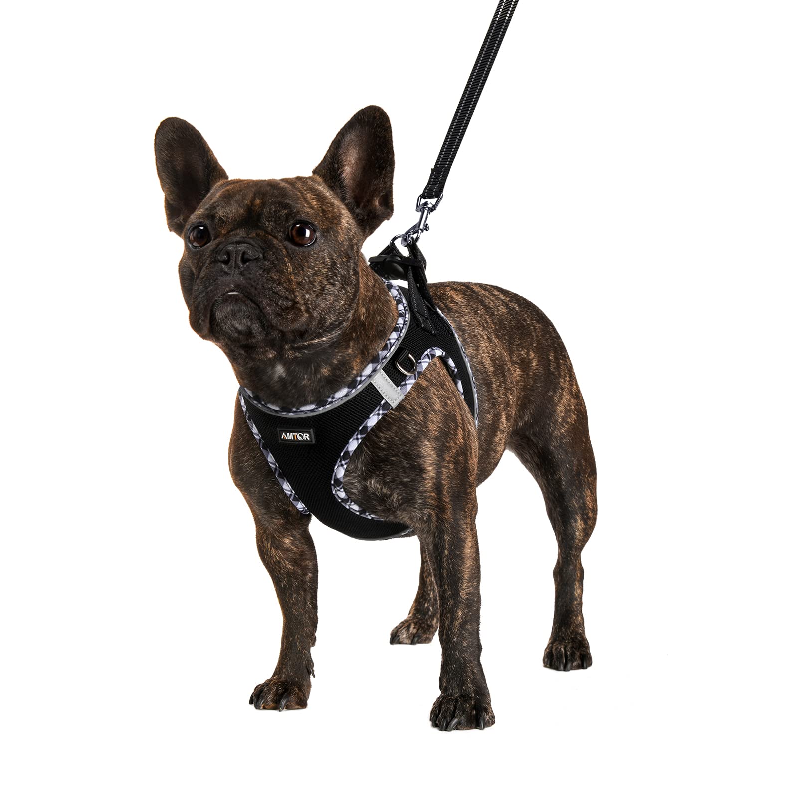 Amtor Dog Harness With Leash Set,No Pull Adjustable Reflective Step-In Puppy Harness With Padded Vest For Extra-Small/Small Medium Large Dogs And Cats(Blackwhite)