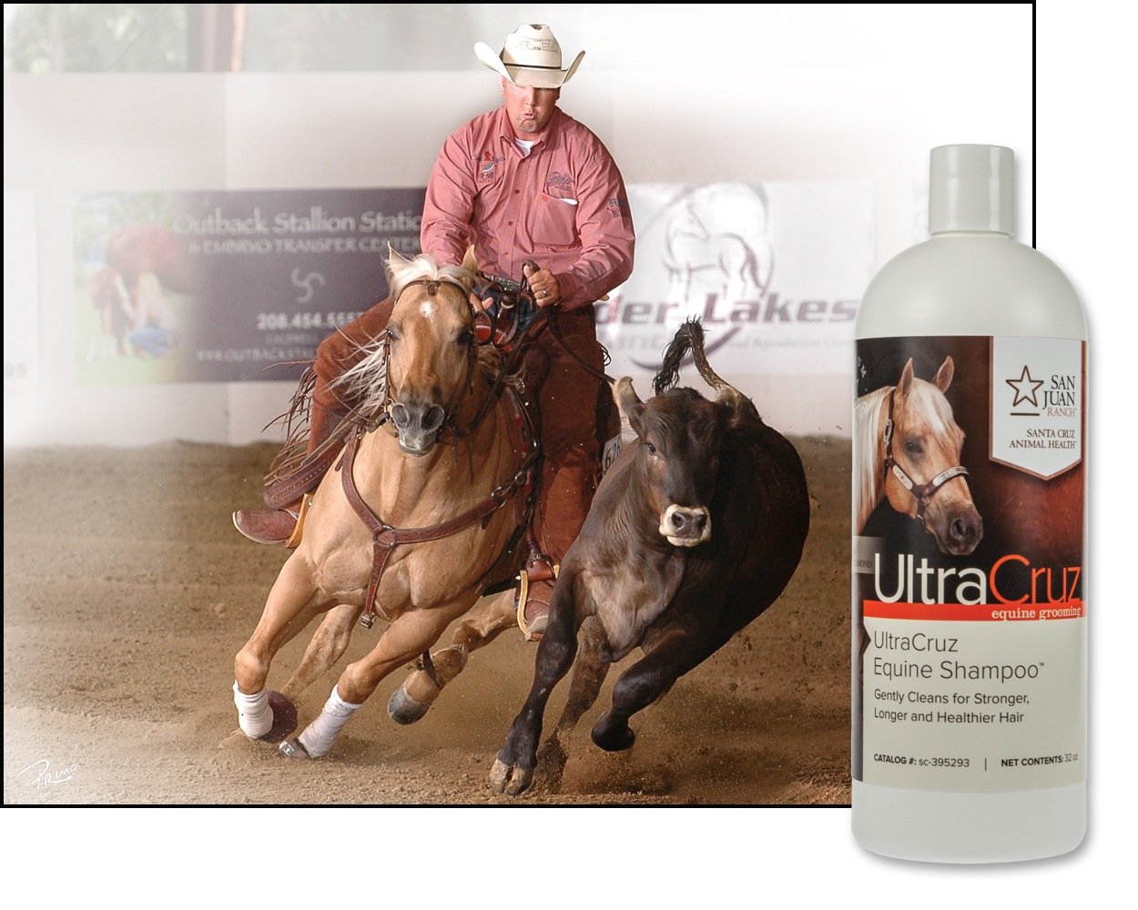 Ultracruz-Sc-395293 Equine Horse Shampoo, 32 Oz