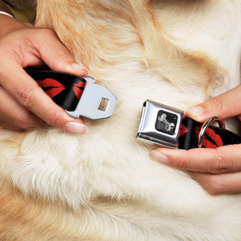 Buckle-Down Seatbelt Buckle Dog Collar - Kisses - 1.5 Wide - Fits 16-23 Neck - Medium