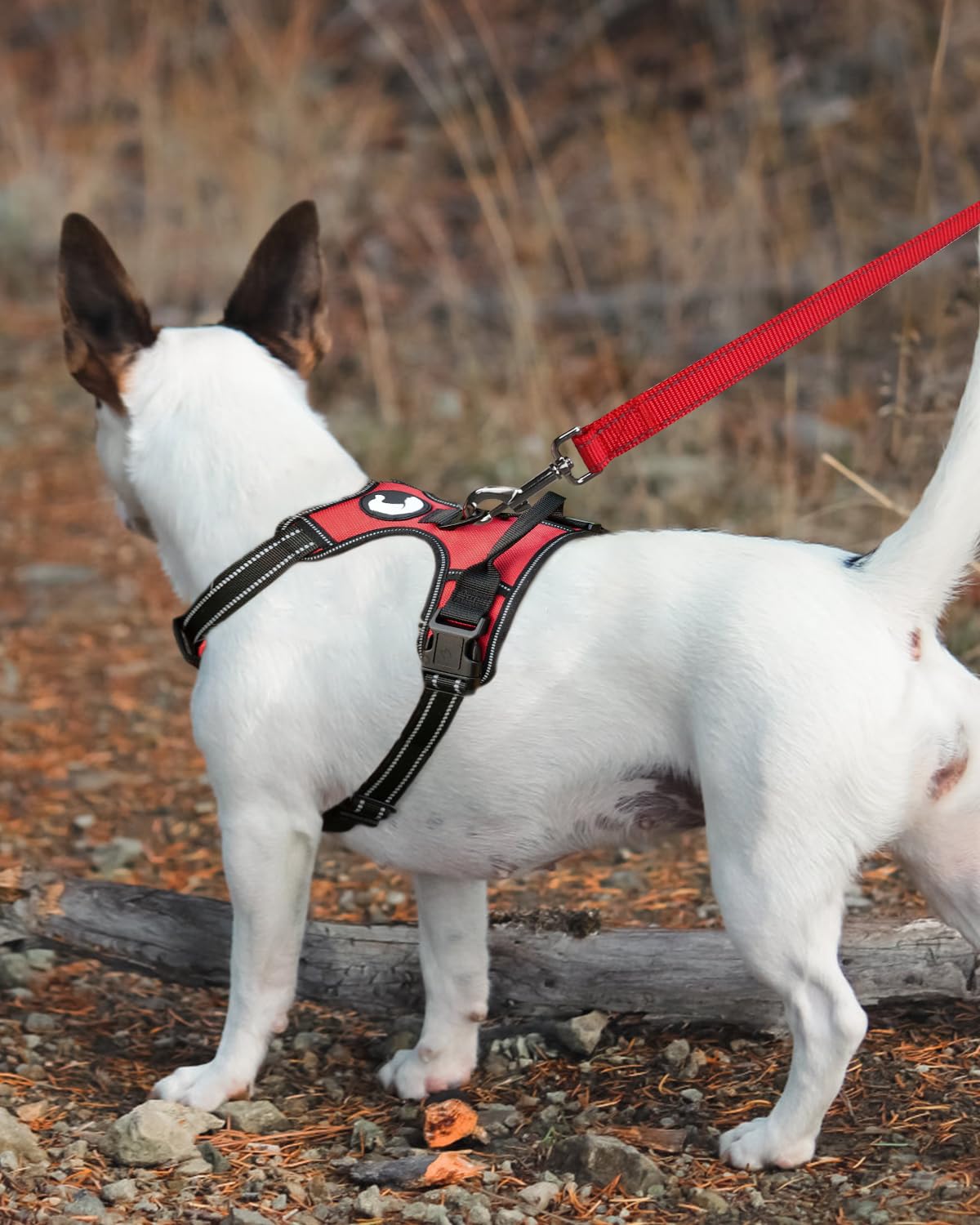 Joytale Double-Sided Reflective Dog Leash, 6 Ft/5 Ft/4 Ft, Padded Handle Nylon Dogs Leashes For Medium & Large Dogs Walking, Red, 5Ft