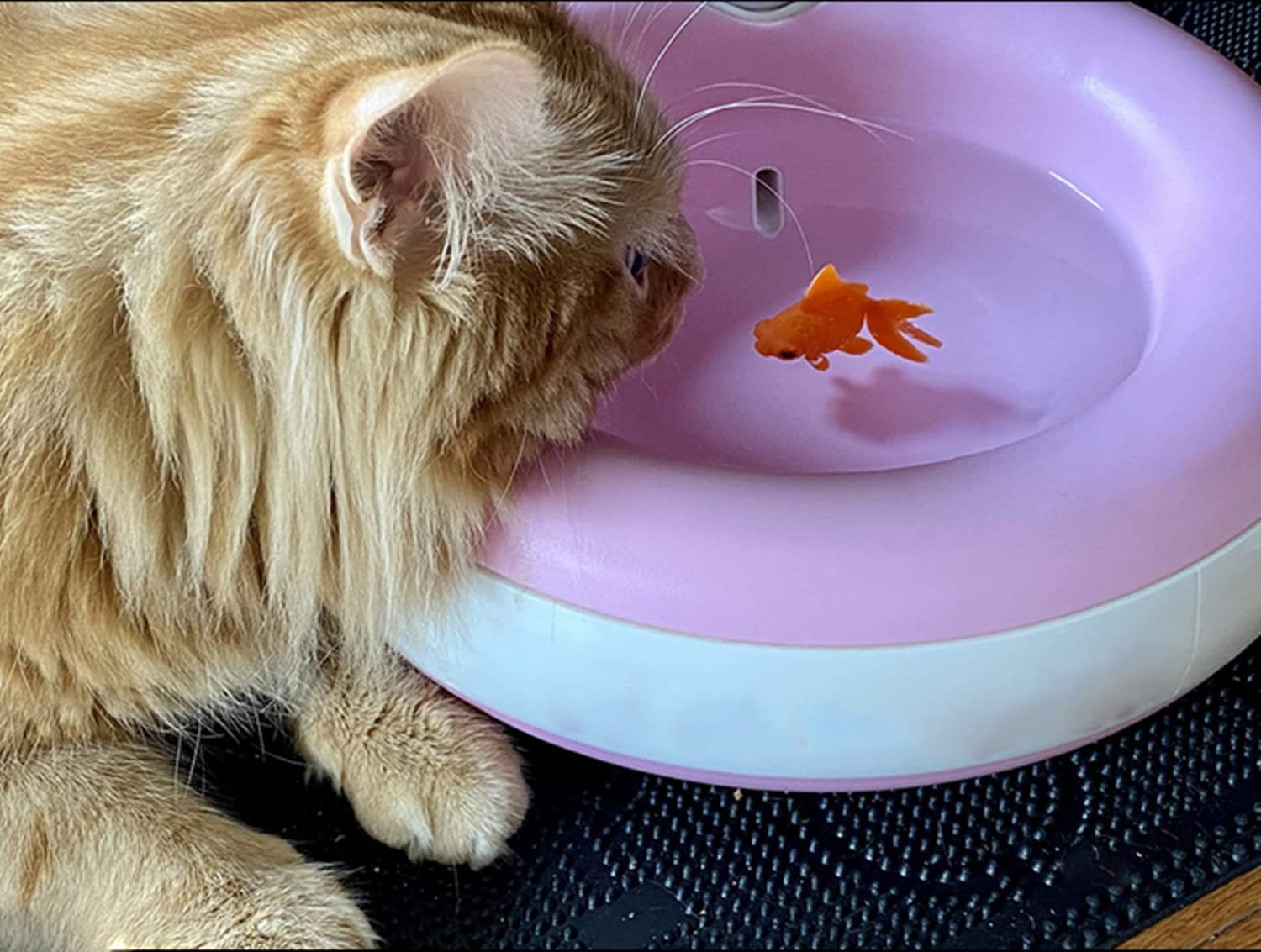 Xmhf Aquarium Fish Bowl Tank Artificial Floating Plastic Orange Decor Goldfish Ornament Fish Tank Decoration 10Pcs