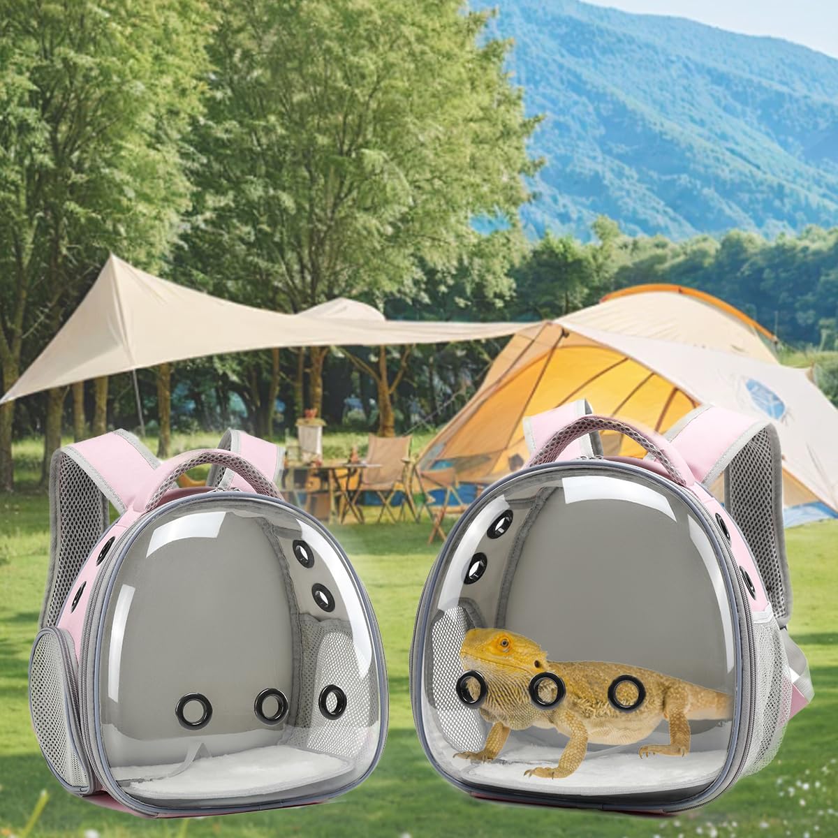 Hcupet Travel Backpack Carrier With Harness And Leash Set,Lizard Backpack Carrier,Space Capsule Clear Bubble Window Astronaut Re