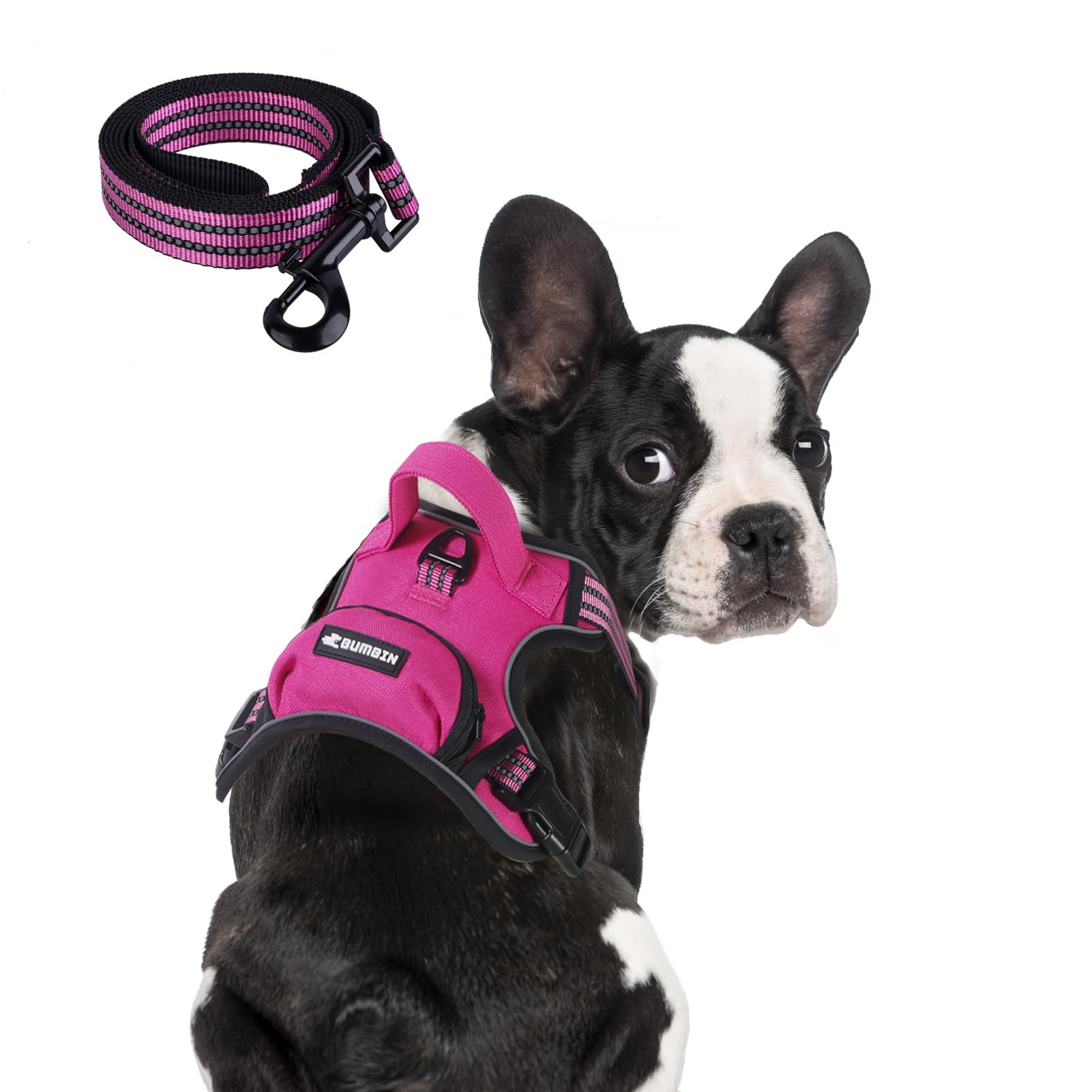 BUMBIN Dog Harness for Large Dogs, No Pull Adjustable No Choke Pet Vest with Dog Leash Fit Smart Reflective Pet Walking Harness 