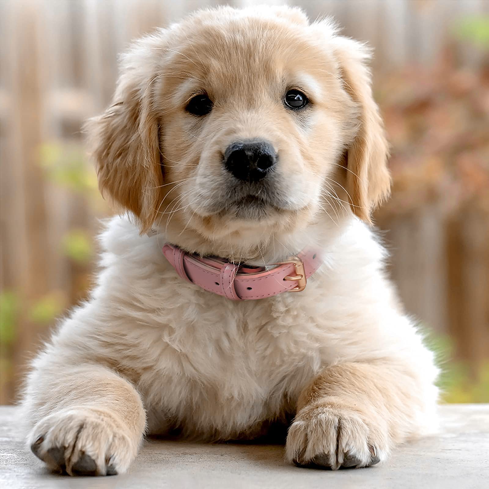 Whippy Leather Dog Collar For Small Medium Large Dog Adjustable Soft Breathable Leather Padded Puppy Collar With Alloy Buckle Heavy Duty Waterproof Classic Dog Pet Collar,Pink,L