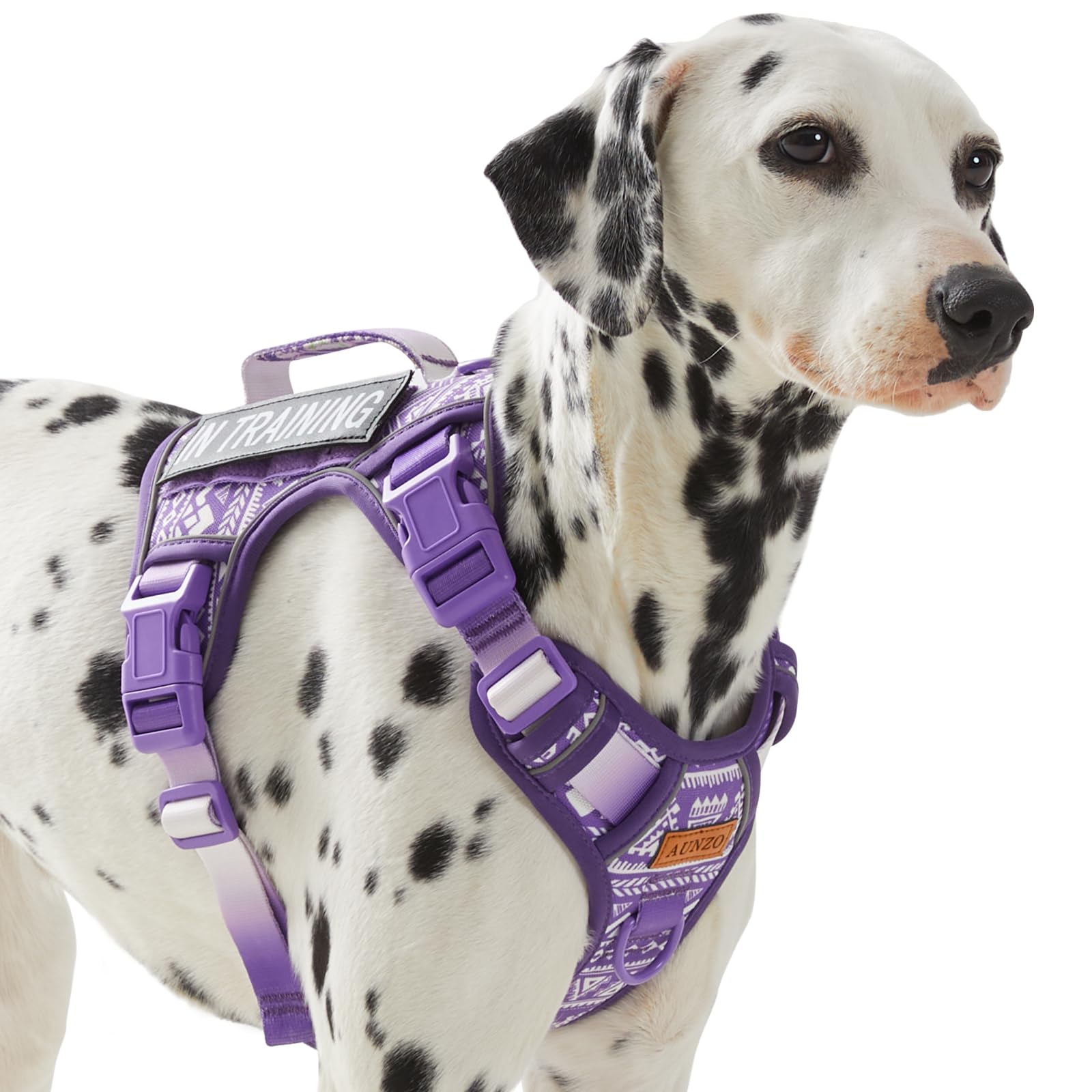 AUNZO Service Dog Vest Harness with 2 hook and loop Patches, No Pull Dog Harness for Walking Training Hiking, Metal D-Rings Easy