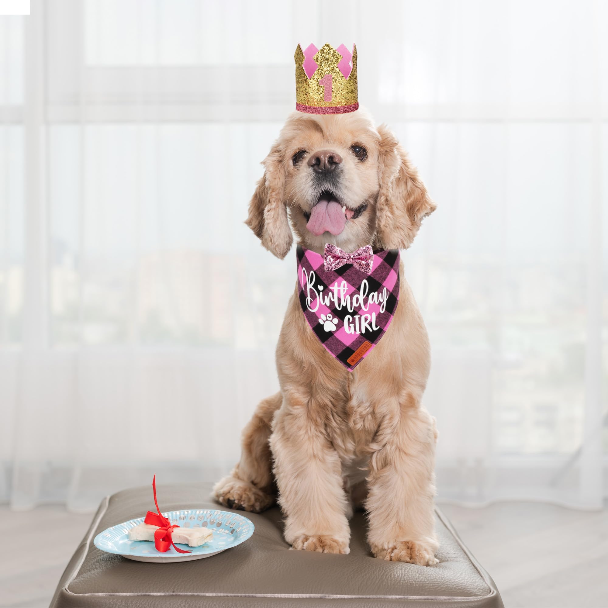 Adoggygo Dog Birthday Party Supplies, Pink Plaid Birthday Girl Dog Bandana, Golden Puppy Party Hat With Numbers, Bowtie For Smal