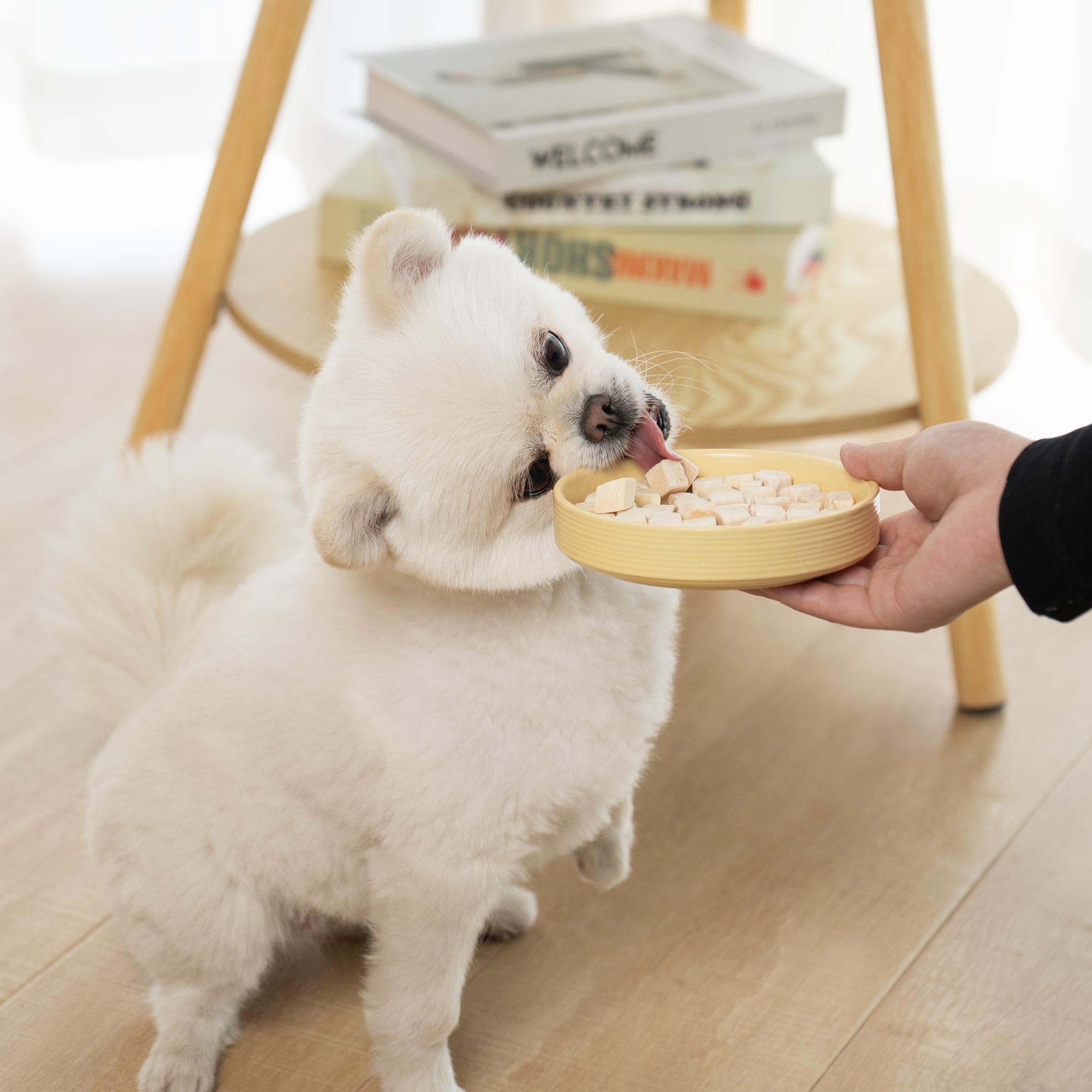 MON2SUN Freeze Dried Chicken Cat and Dog Treats, Single Ingredient Natural and Healthy Dog Snacks, High Protein Training Treats
