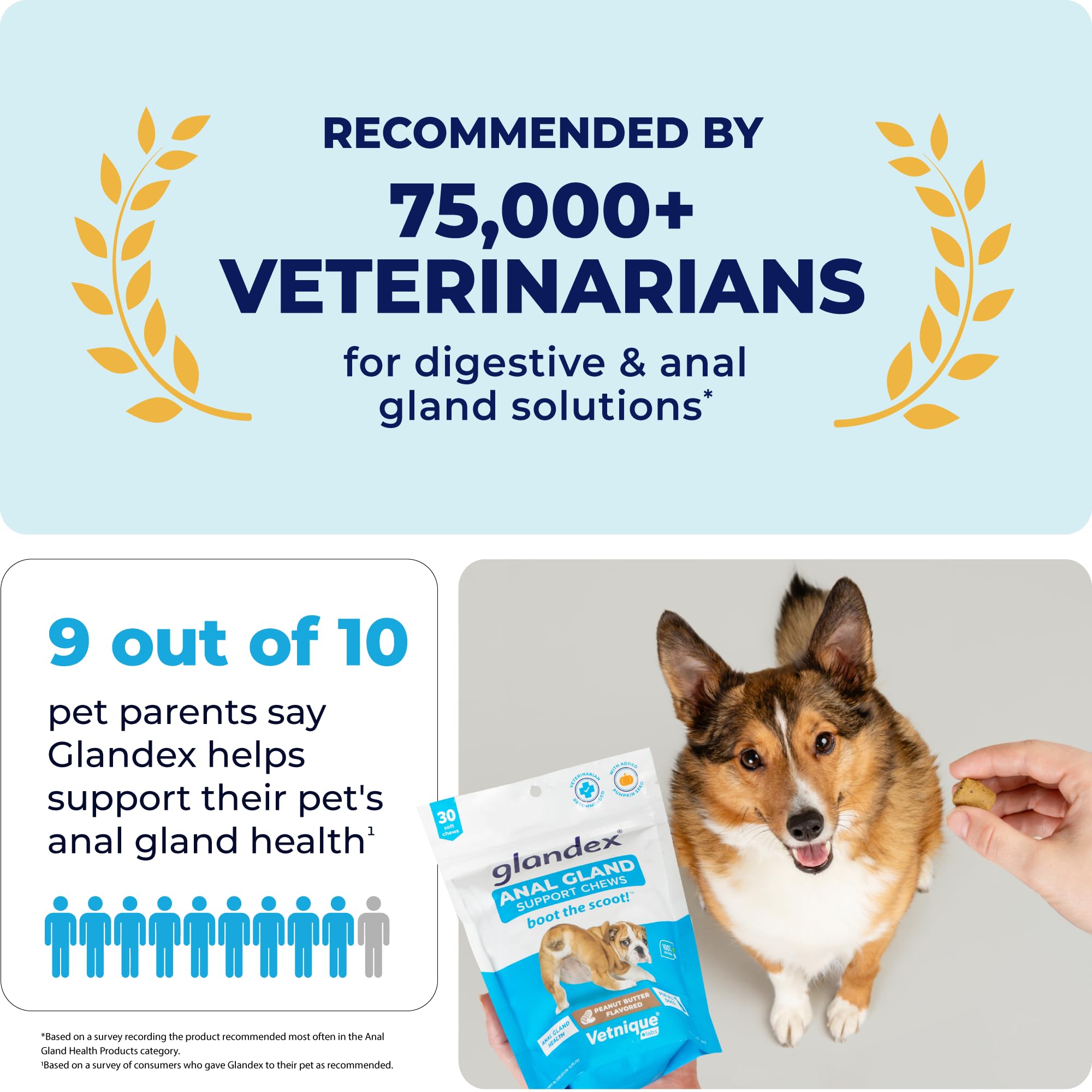 Vetnique Labs Glandex Anal Gland Soft Chew Treats with Pumpkin for Dogs Digestive Enzymes, Probiotics Fiber Supplement for Dogs