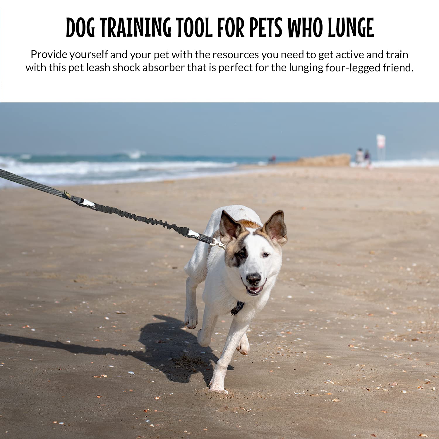 The Buddy System Accessories For Our Dog Leashes Made In Usa (Shock Absorber, Regular Dog Black)