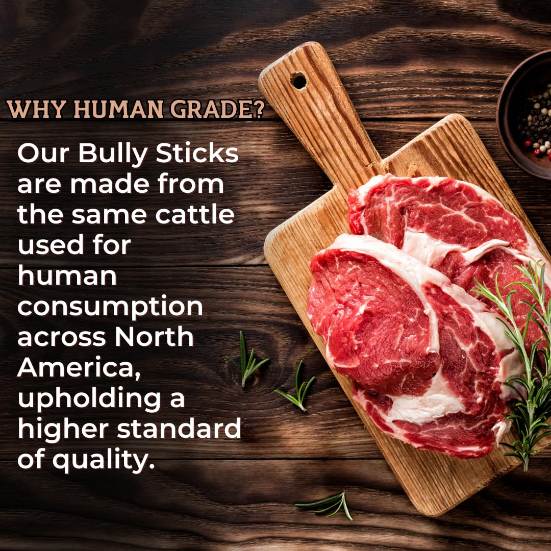 Bully Bunches Premium 12 Inch Thick Odor-Free Bully Sticks for Medium & Large Dogs - Long Lasting Chews for Oral Care - All Natu