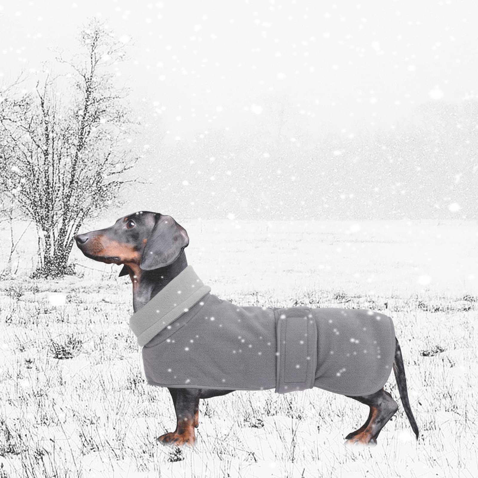 Geyecete Dog Jacket, Dog Coat Perfect For Dachshunds, Dog Winter Coat With Padded Fleece Lining And High Collar, Dog Snowsuit With Adjustable Bands Sizes -Gray-S