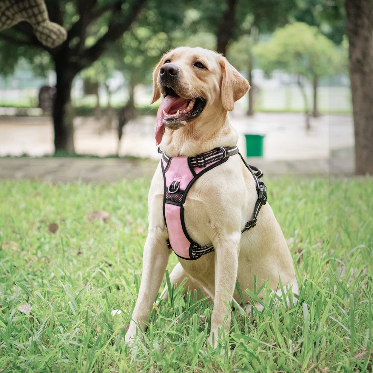 Poypet No Pull Dog Harness, [Release On Neck] Reflective Adjustable No Choke Pet Vest With Front & Back 2 Leash Attachments, Sof
