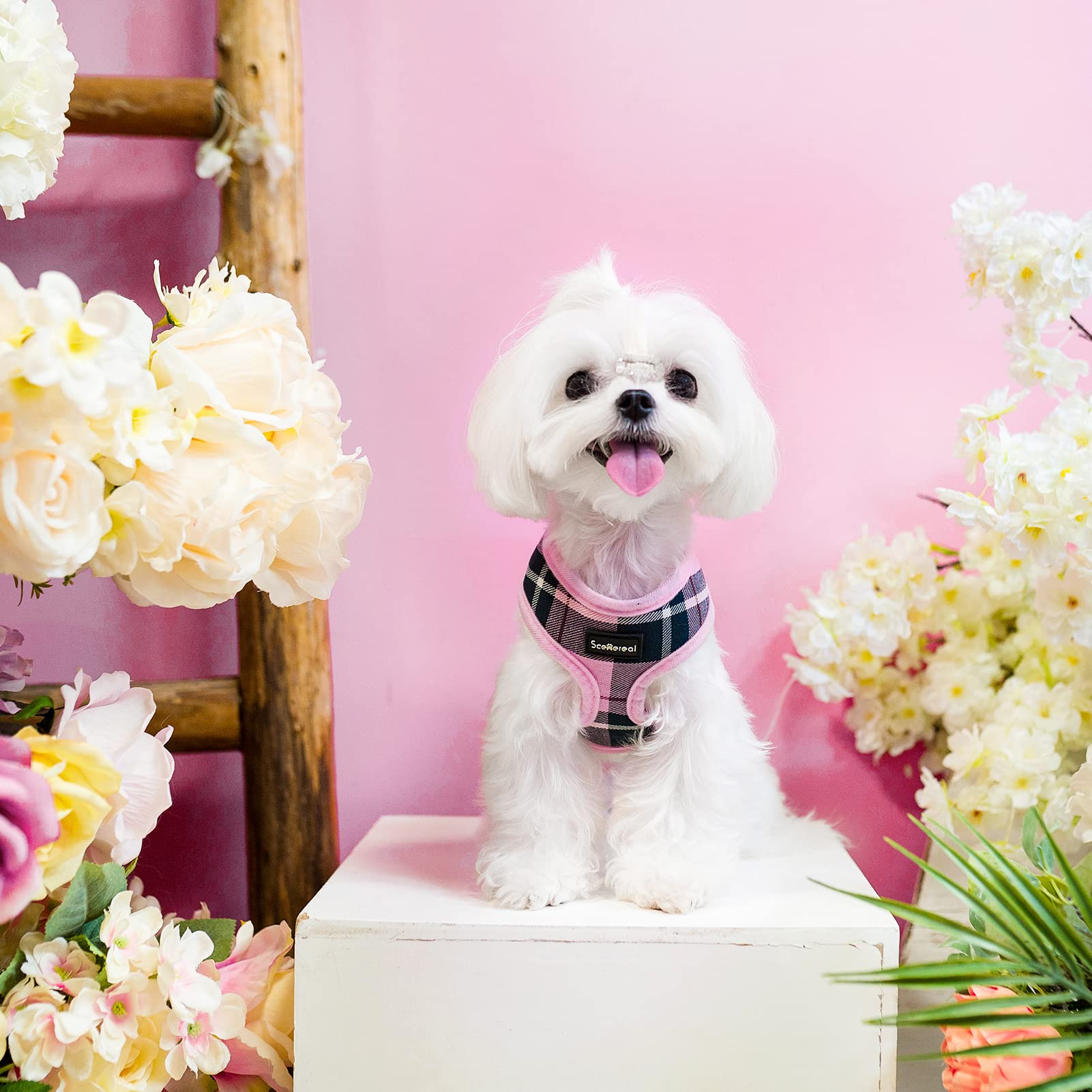 Scenereal Puppy Harness And Leash Set - Soft Mesh No Pull Vest Small Dog Padded Harness For Puppies & Cats