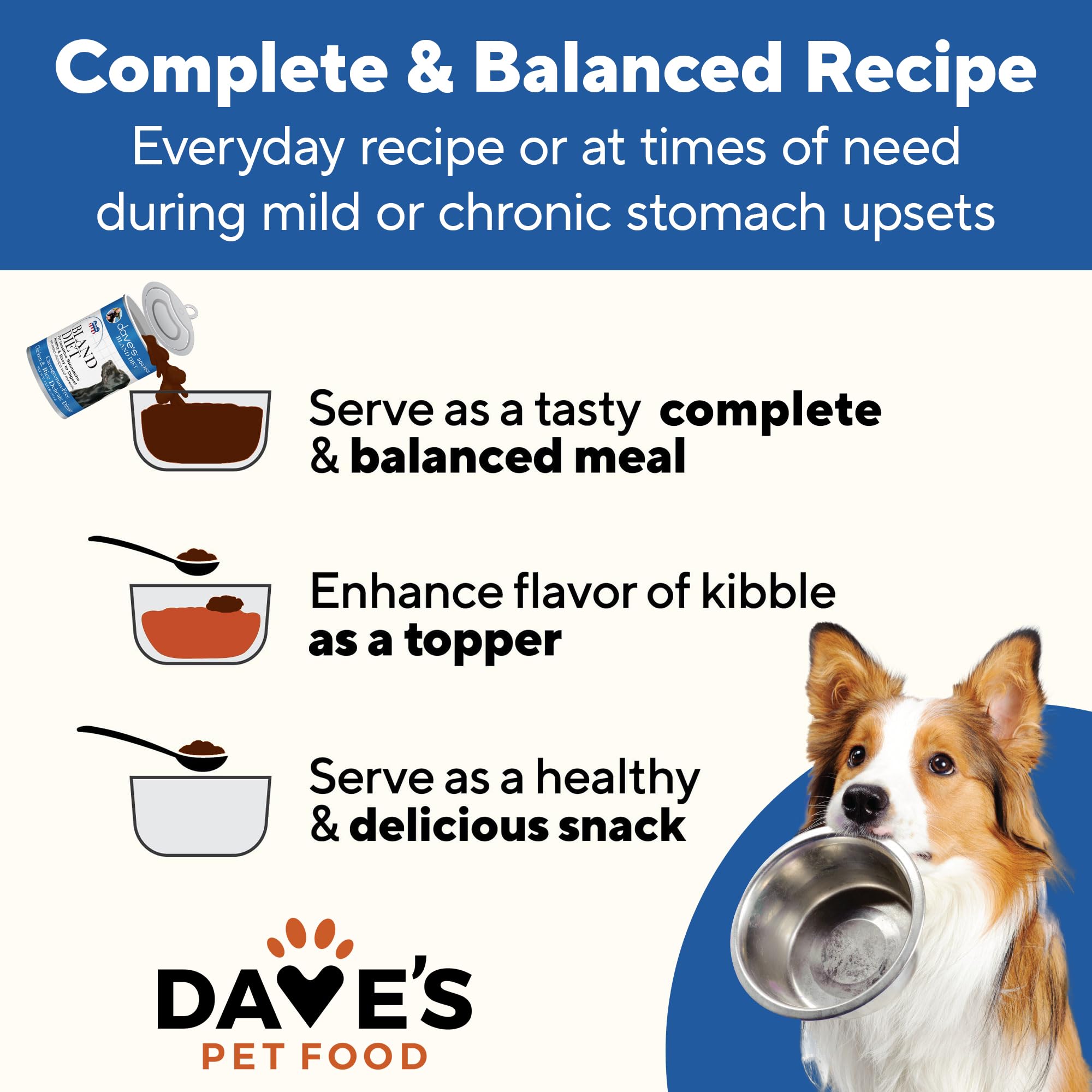 Daves Pet Food Bland Diet Dog Food (Chicken & Rice), Sensitive Stomach, Easy to Digest, Gluten-Free, Digestive Care, Wet Canned