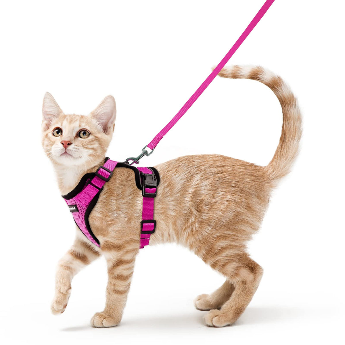 Rabbitgoo Cat Harness And Leash For Walking, Escape Proof Soft Adjustable Vest Harnesses For Cats, Easy Control Breathable Reflective Strips Jacket, Rose Red, Xs