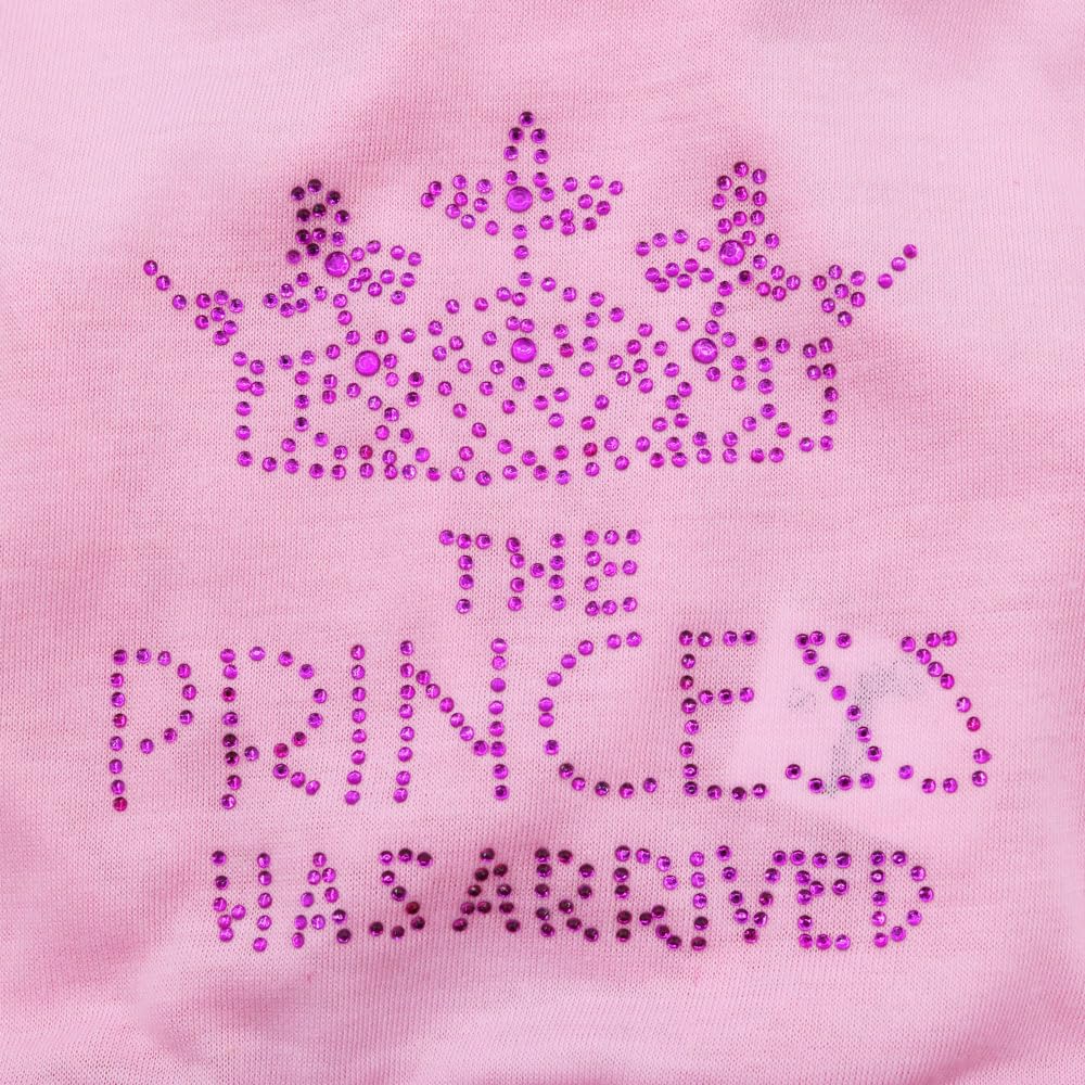Cute Princess Dresses For Girl Dogs Small Dog Dress Cat Female Summer Clothes Girls