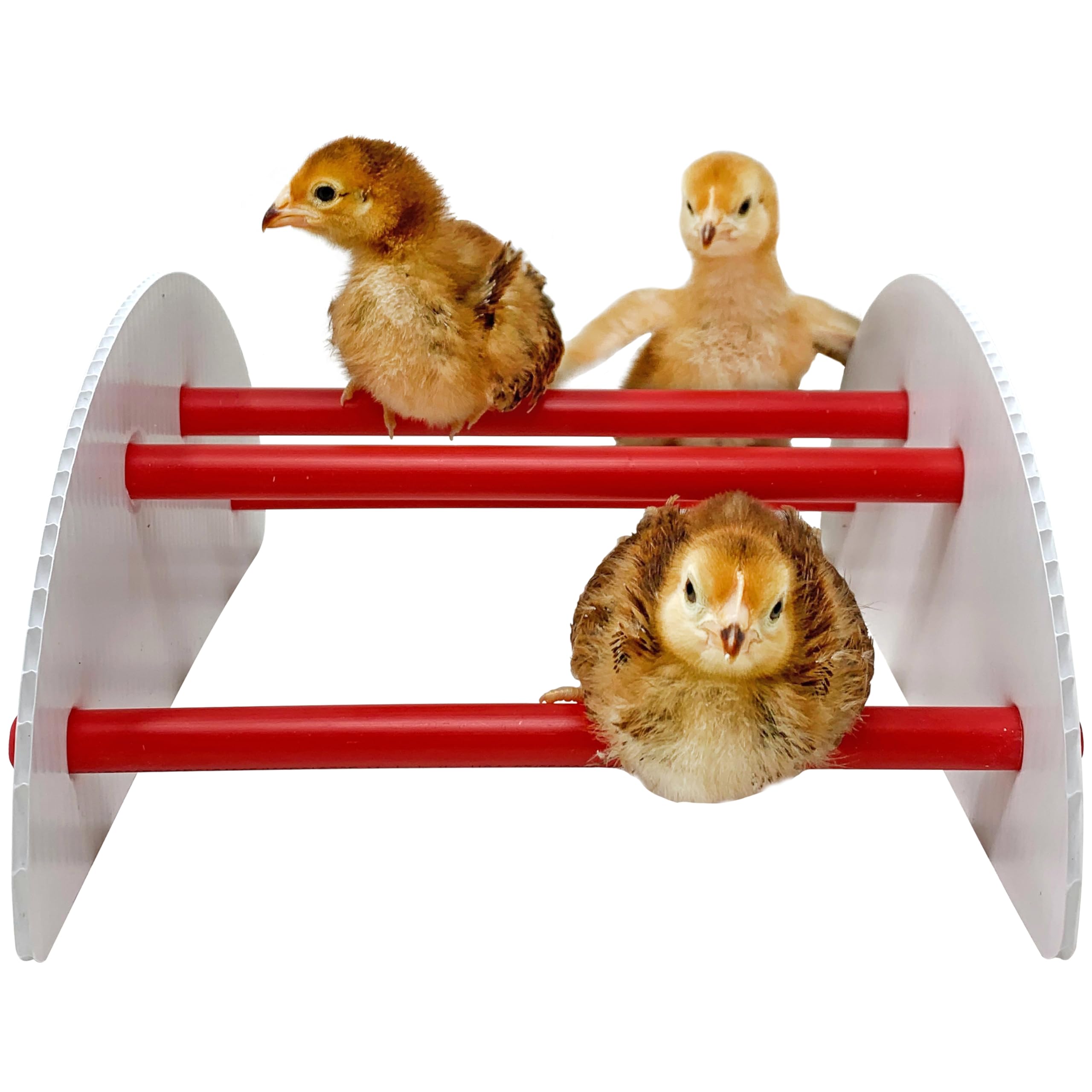 Pecking Order 9590 NPlay Chick brooder Accessory, Red