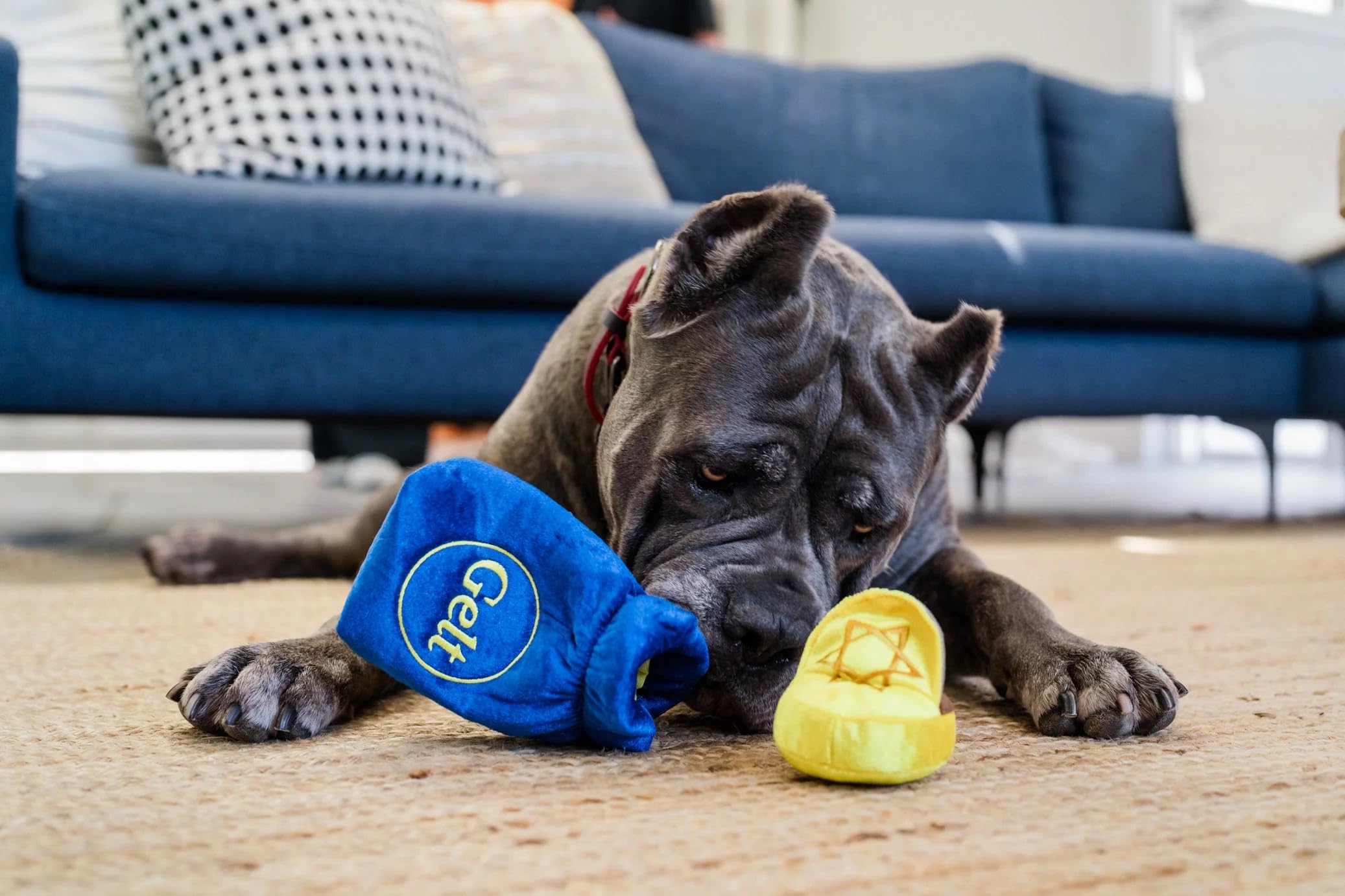 P.L.A.Y. PET LIFESTYLE AND YOU P.L.A.Y. Paw-nukkah Winter Holiday Themed Plush Squeaker Crinkle Dog Toy - Great for Puppies Dogs