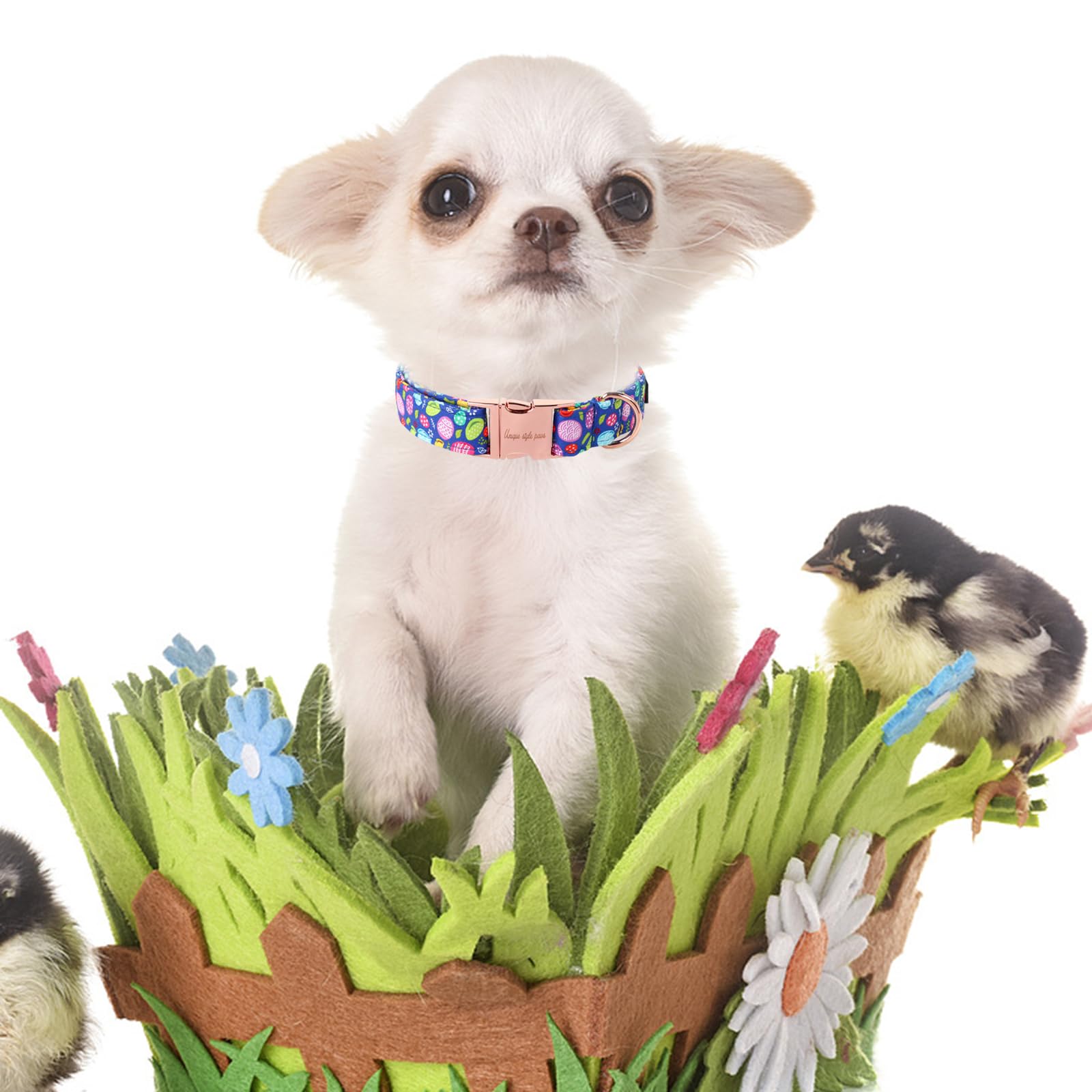 Unique Style Paws Easter Dog Collar Purple Egg Rabbit Dog Collar Cotton Pet Collar For Large Medium Small Dogs