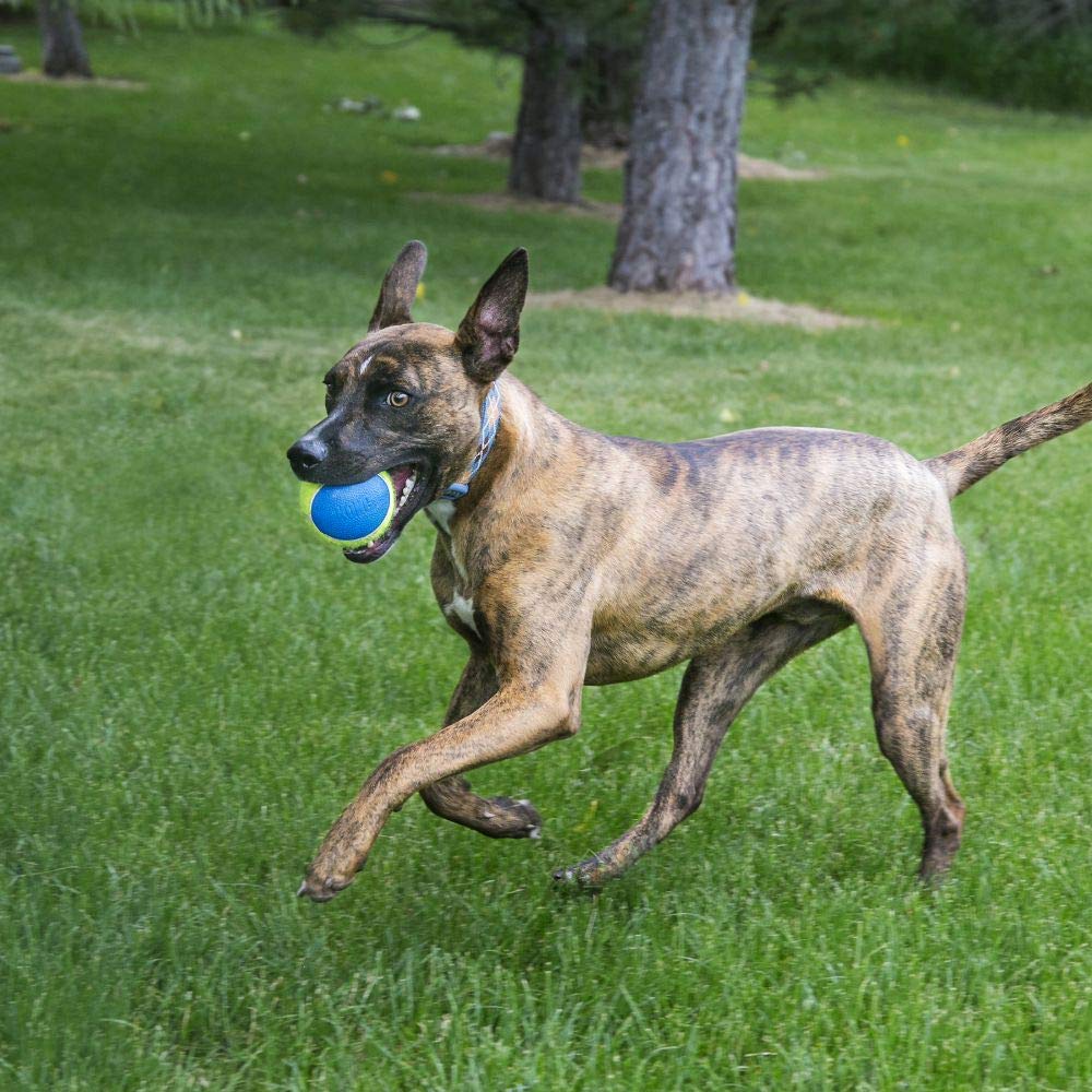 KONG Squeakair Ultra Balls - Premium Squeak Tennis Balls for Medium Dogs, Gentle on Teeth, Yellow, 3 Pack, Model AUT2