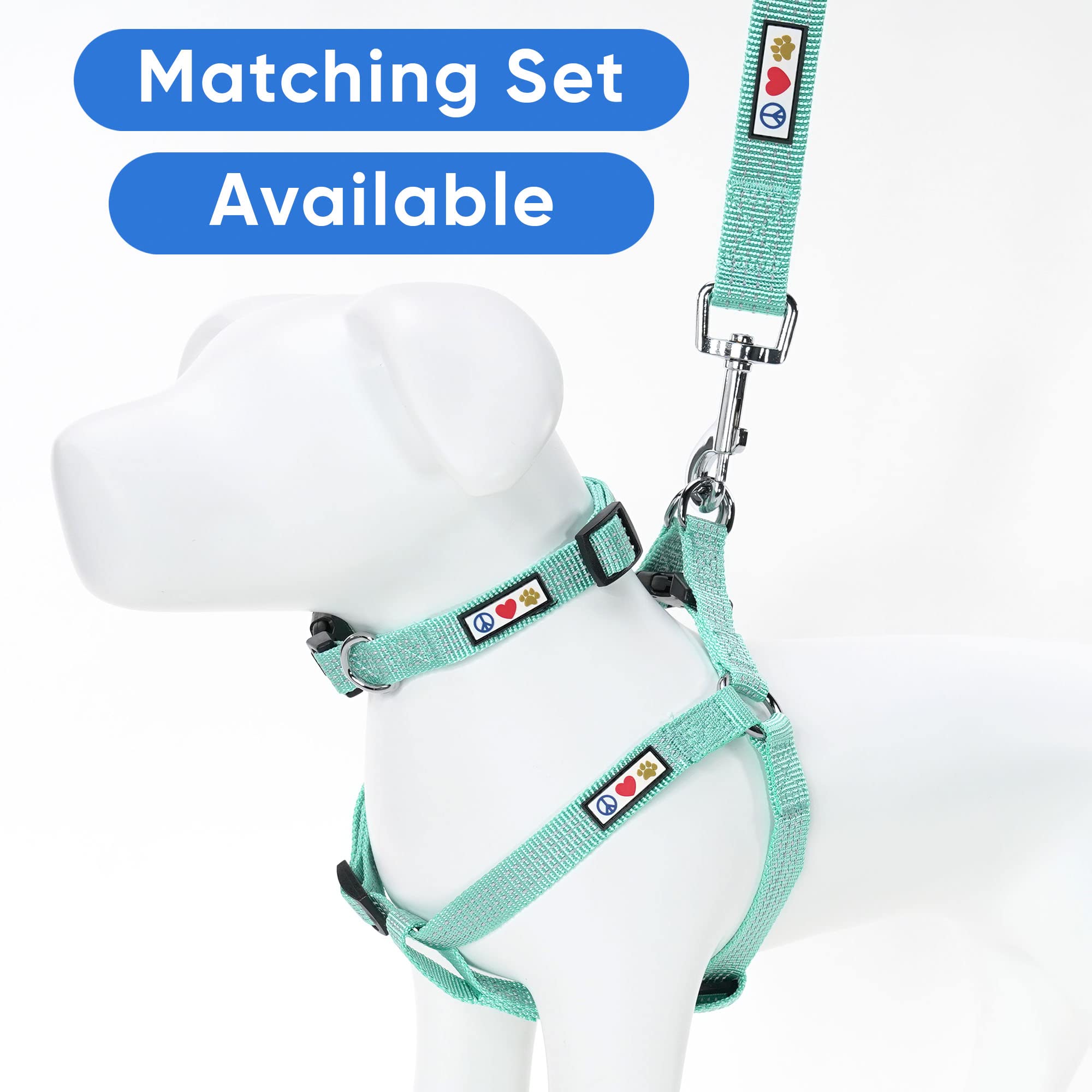 Pawtitas 6 Ft Dog Leash - Reflective, Comfortable Handle, Heavy Duty Training Leash, Small Dog, Teal