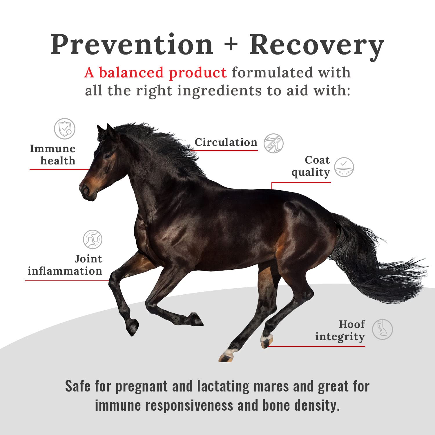 Mojo Joint Horse Supplements, Equine Pelleted Supplement, All Natural Joint Care Supplement for Horses, 10 lbs