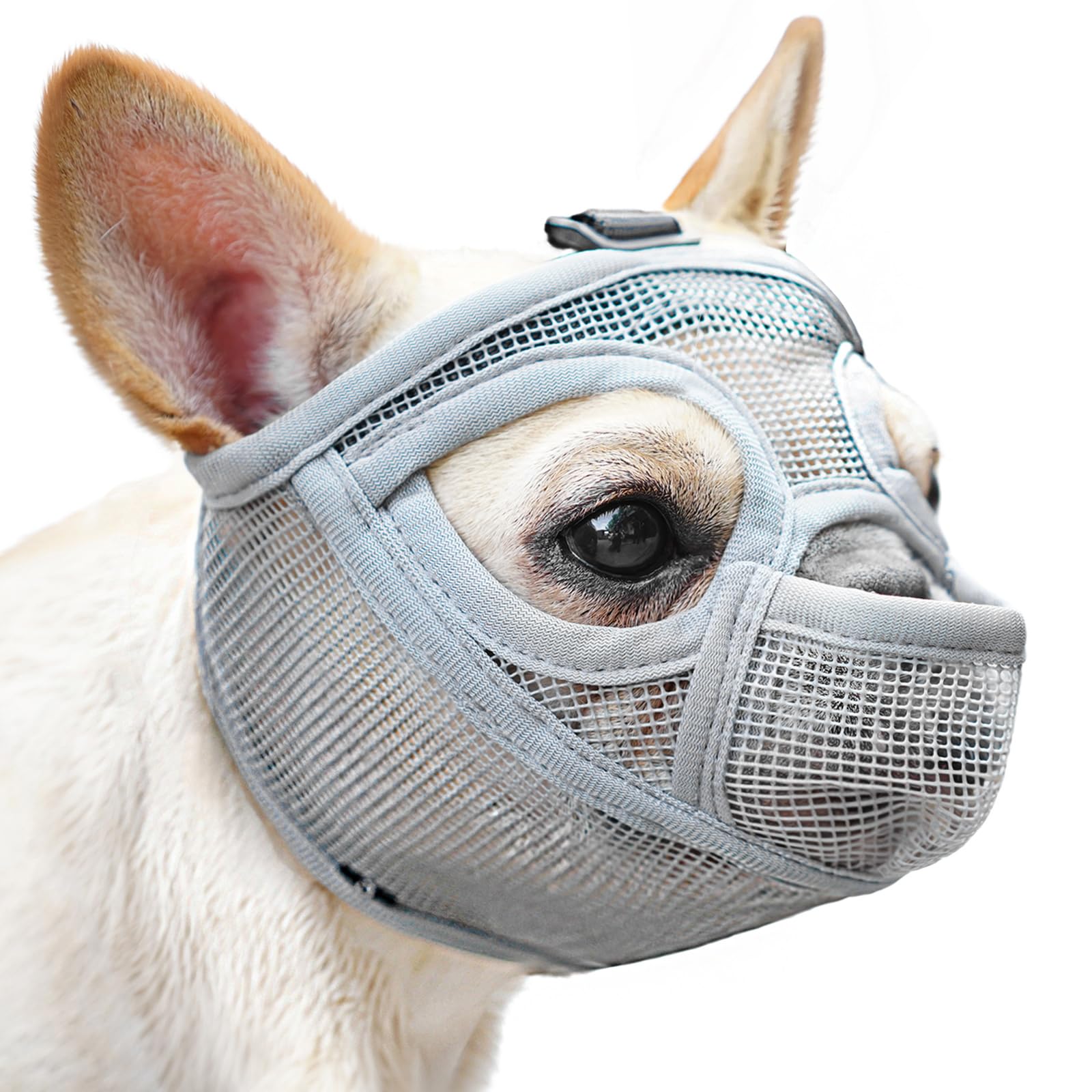 Mayerzon Short Snout Dog Muzzle For French Bulldog With Full Pant Design To Prevent Eating Biting, Soft Mesh Dog Muzzle For Shih